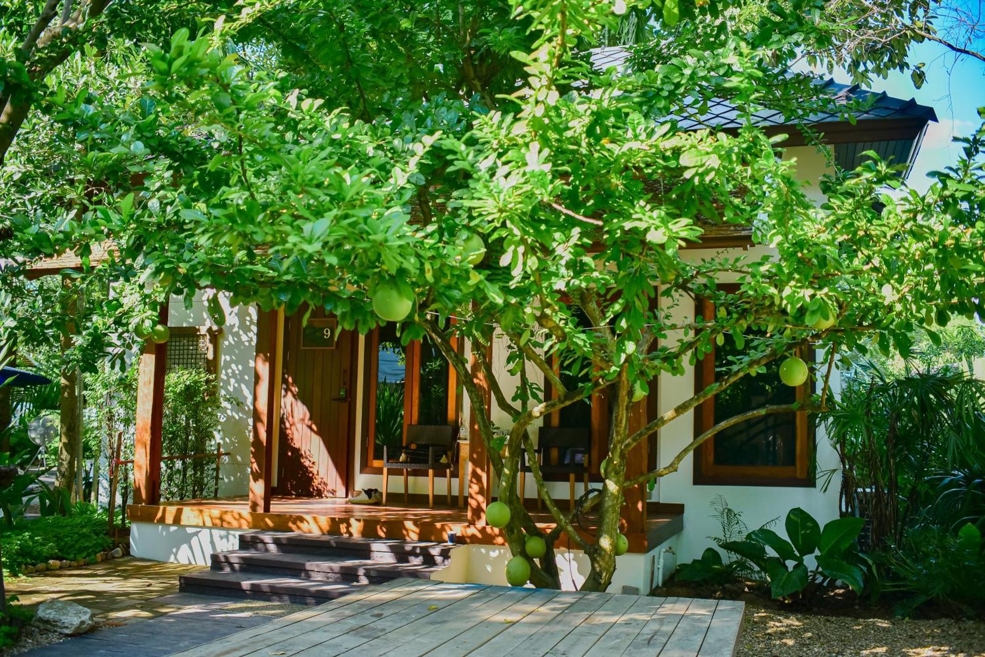 Guest house Tai 2*