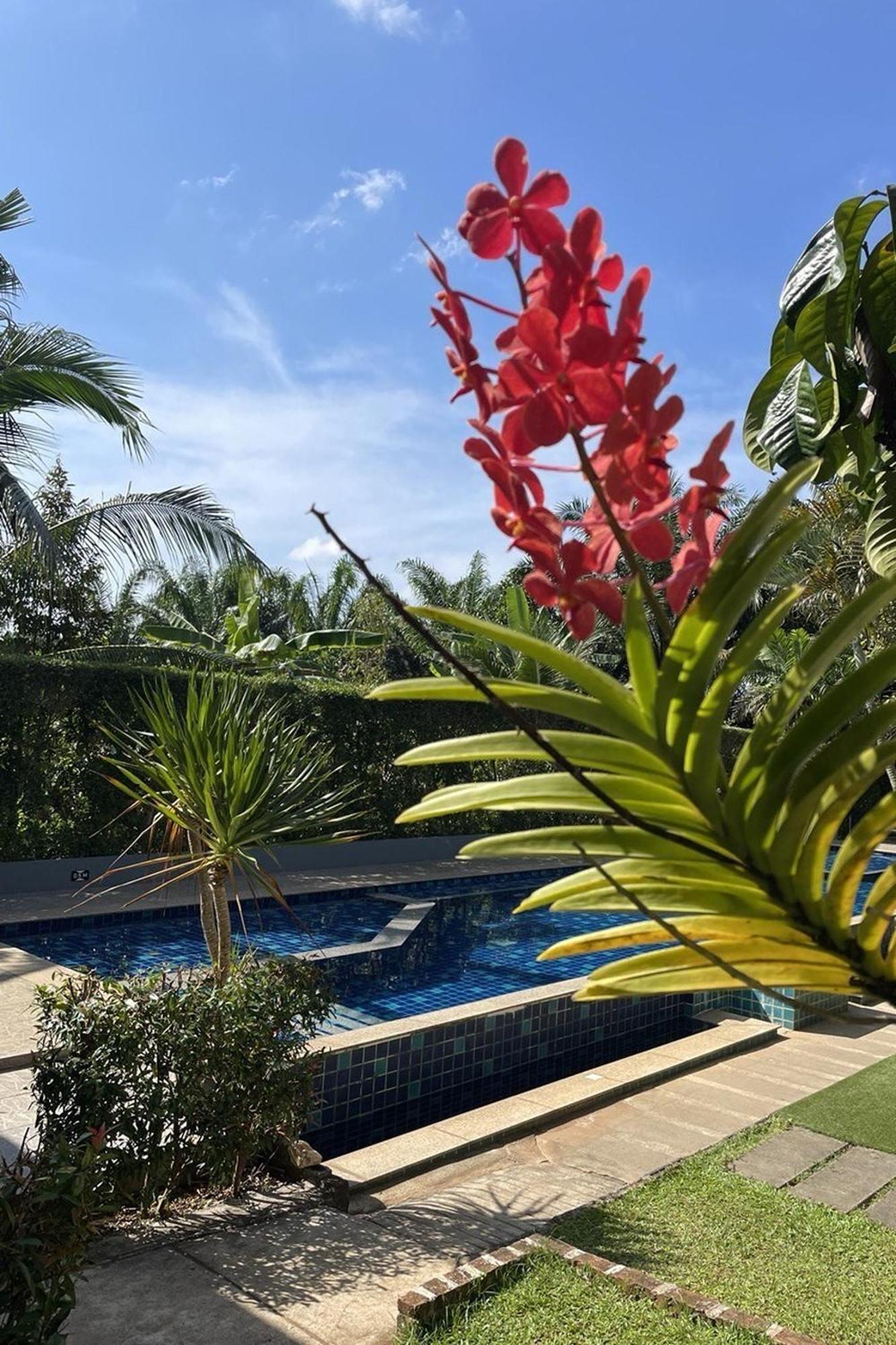 The Fong Krabi