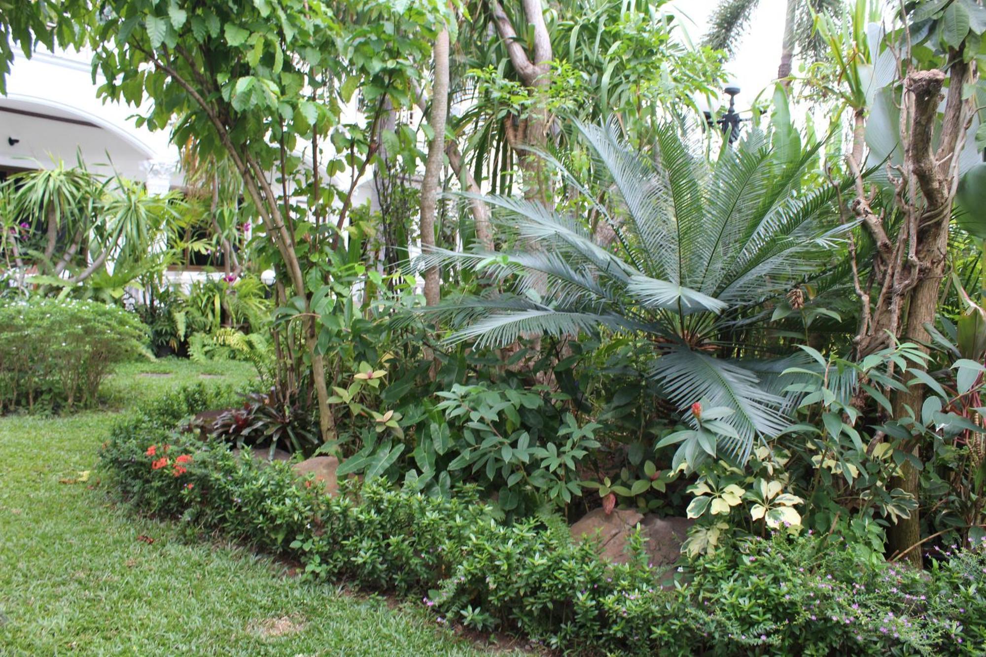 White Elephant Resort 3*