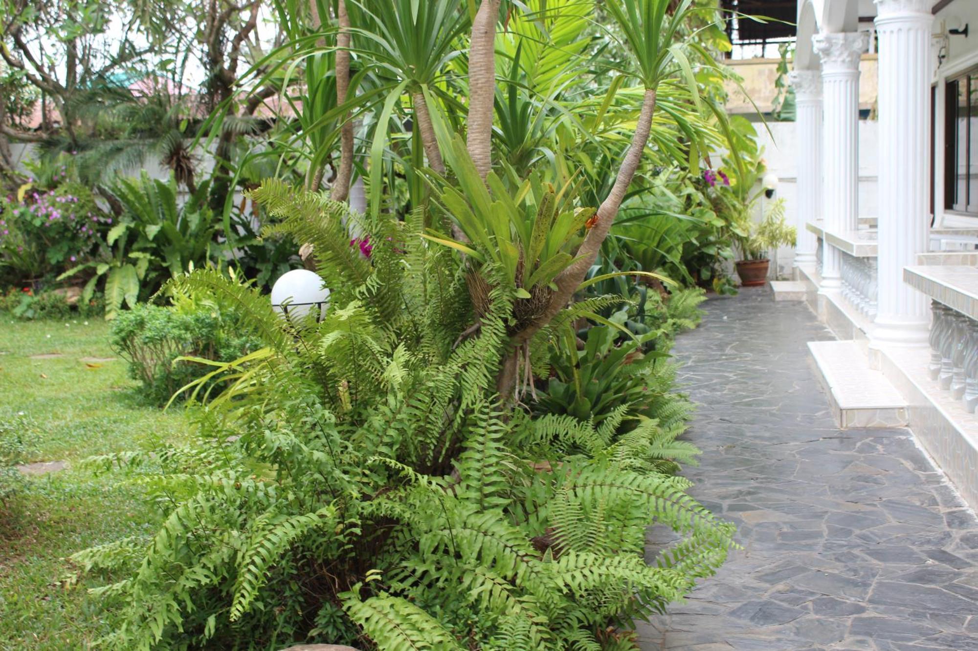 Resort White Elephant 3*
