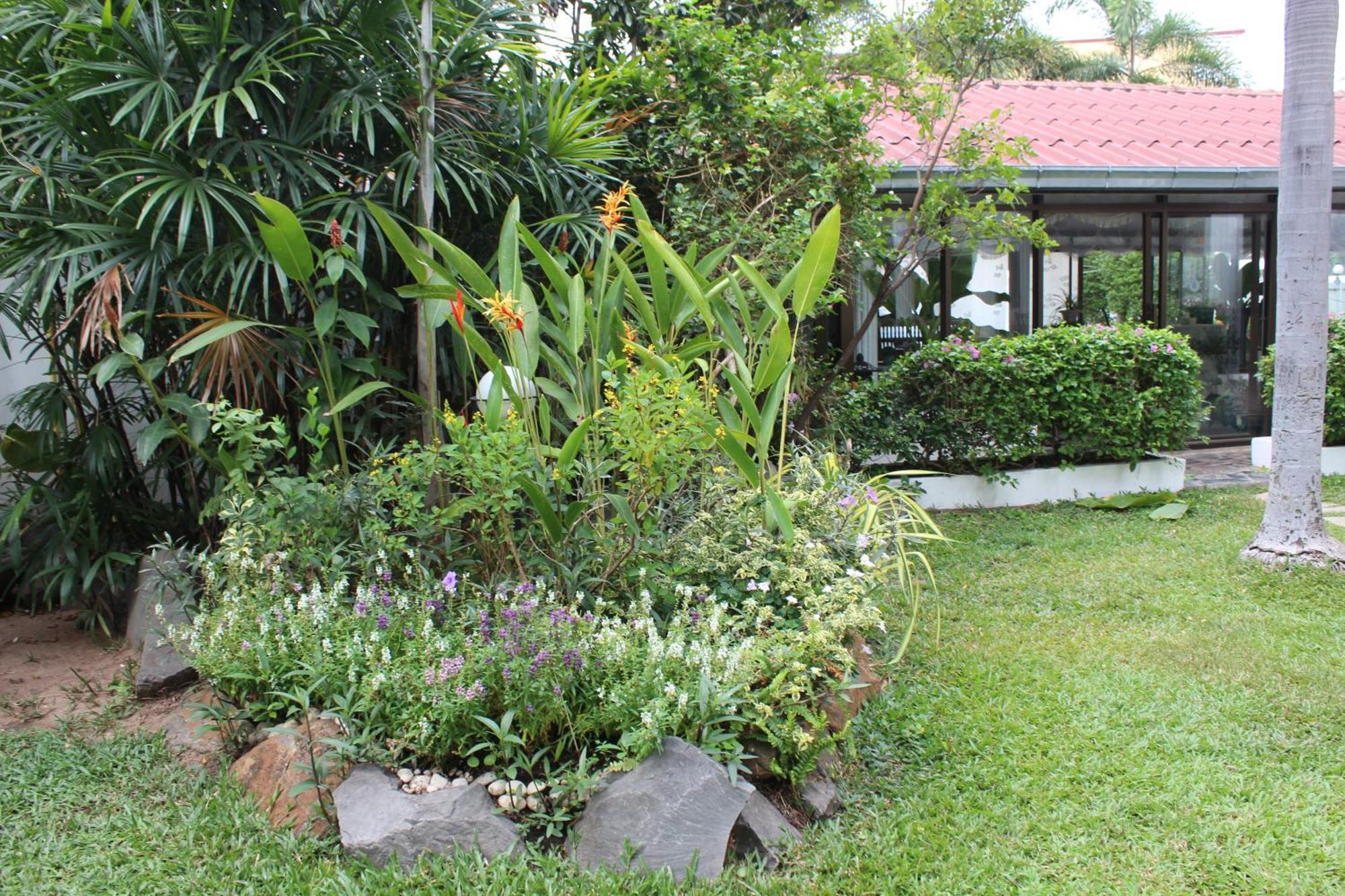 White Elephant Resort Surin