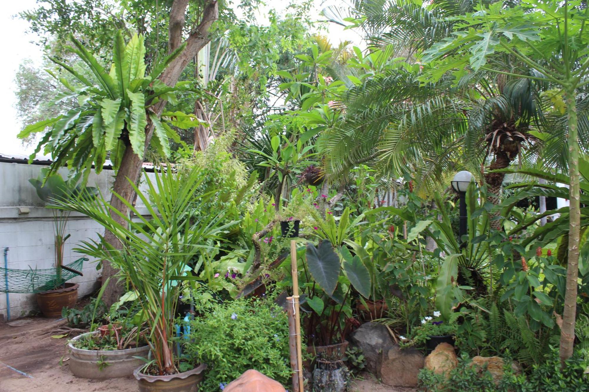 White Elephant Resort Surin