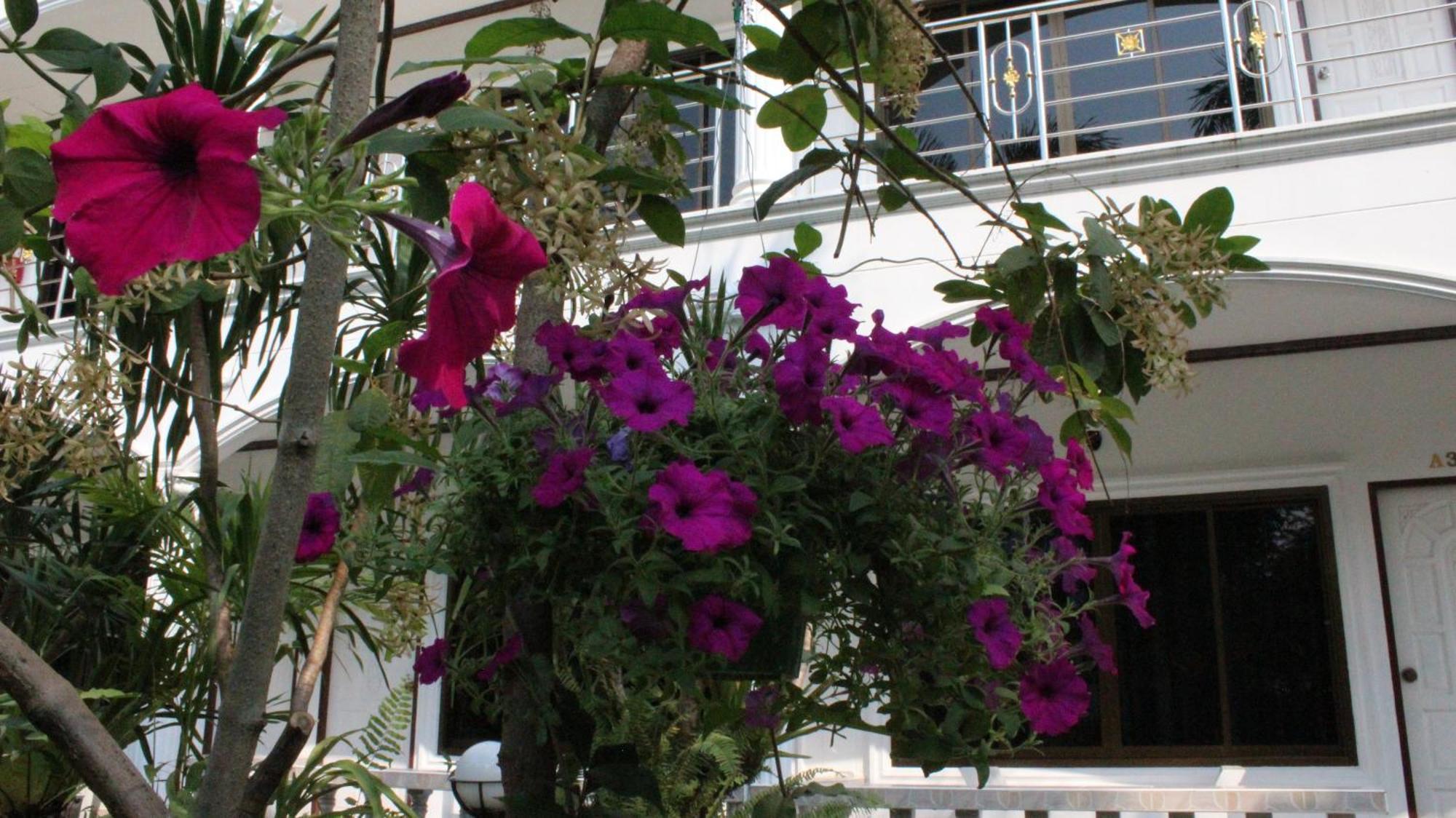 White Elephant Resort Surin