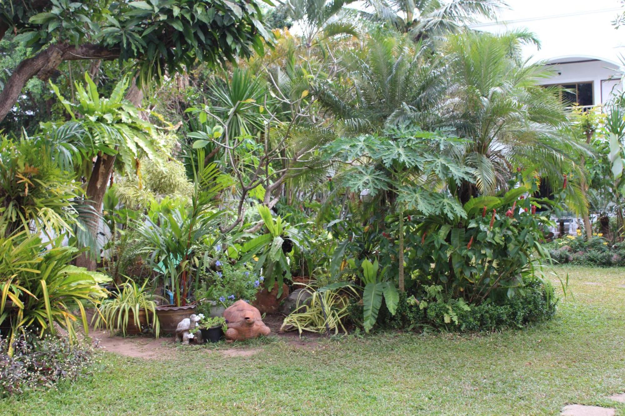 White Elephant Resort