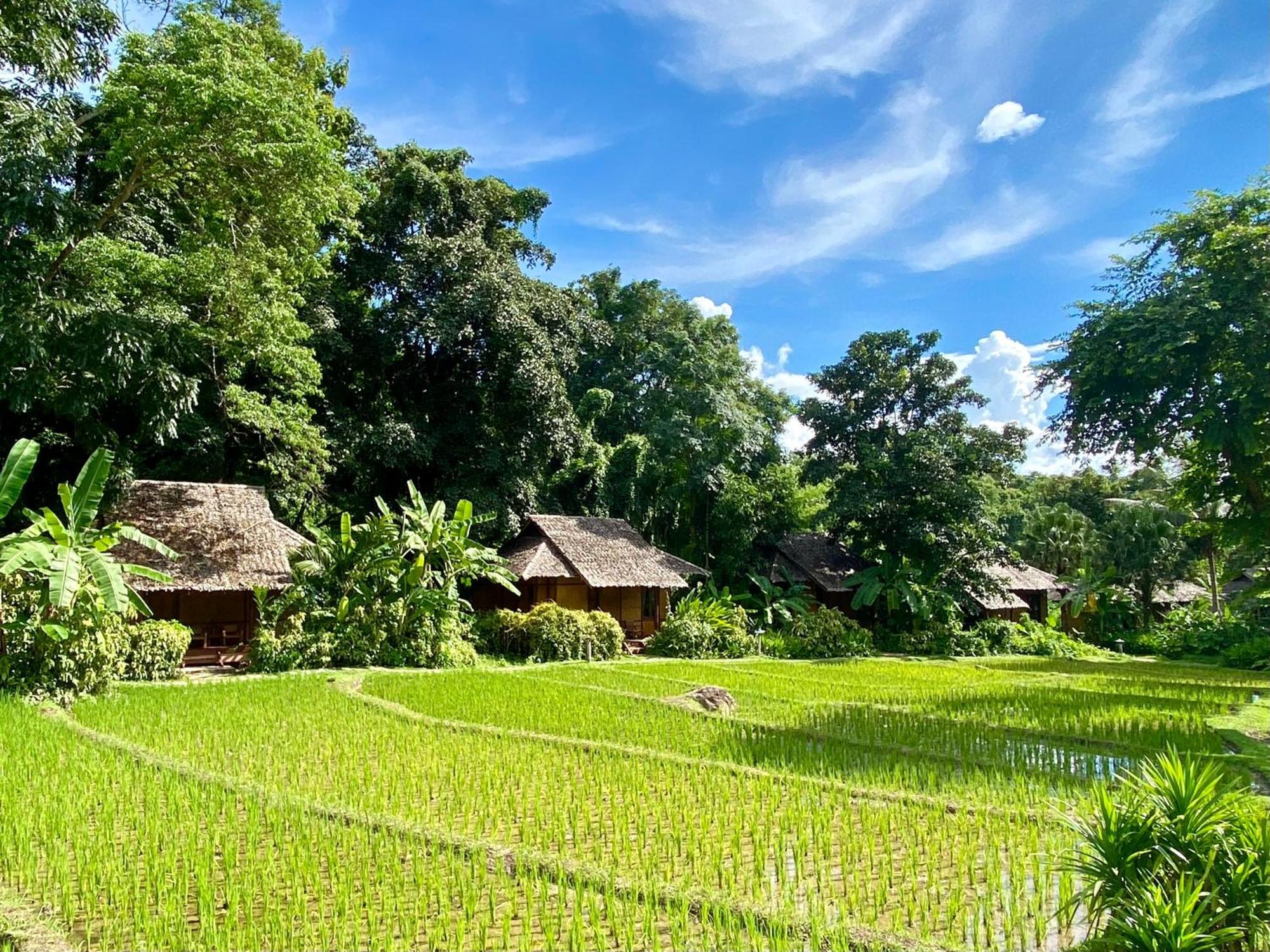 Fern 3* Mae Hong Son