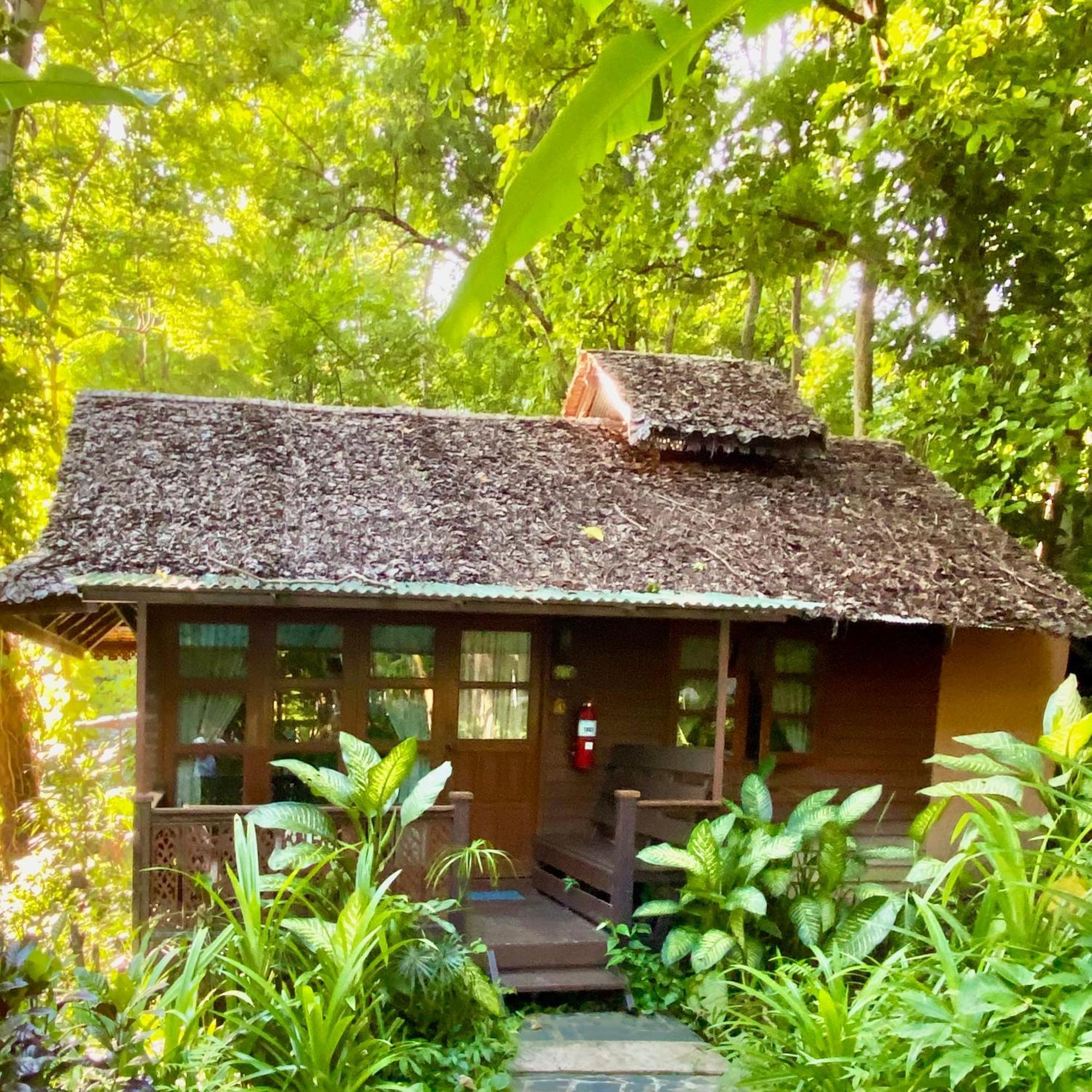 Fern Resort