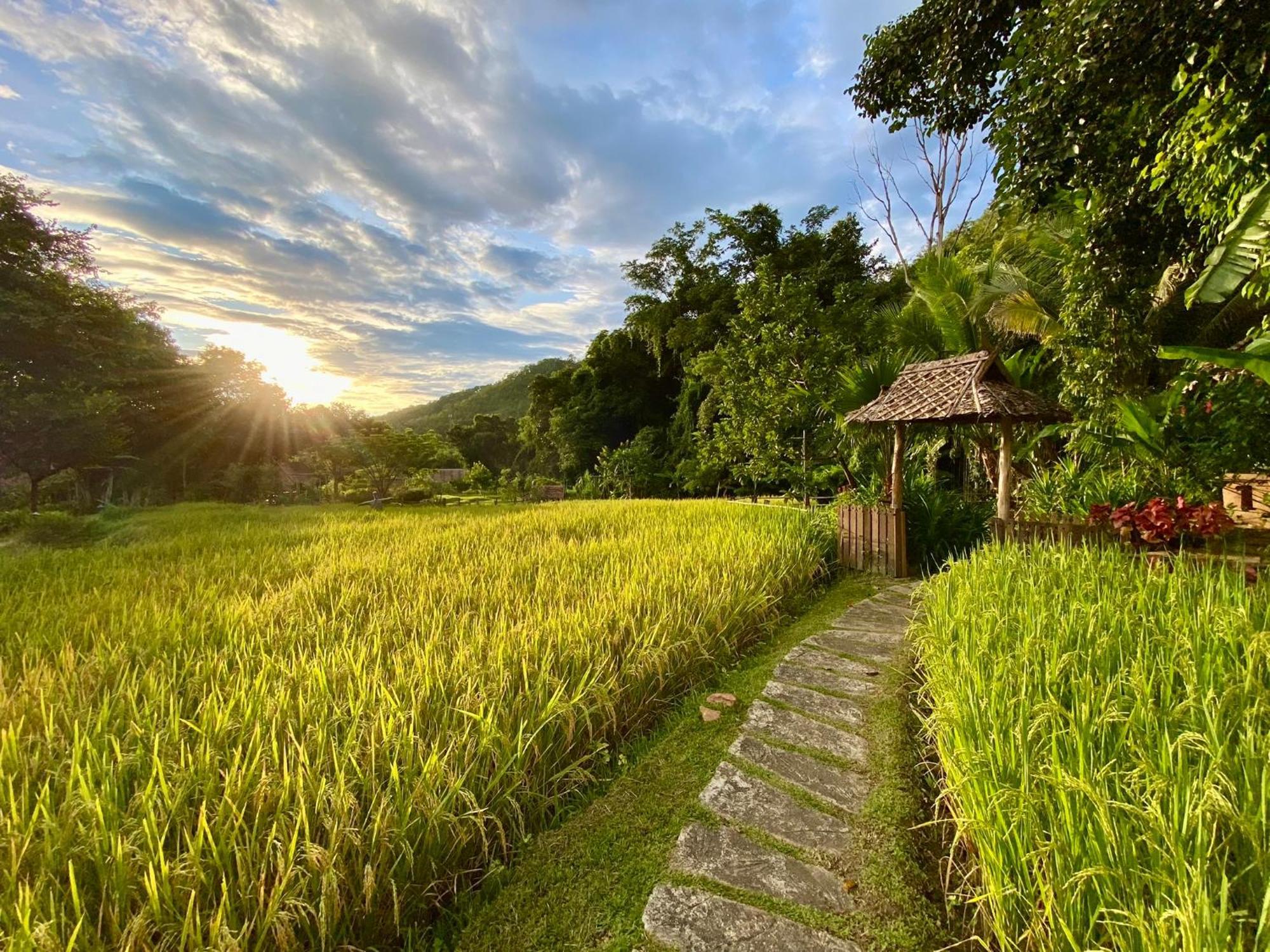 Fern Resort