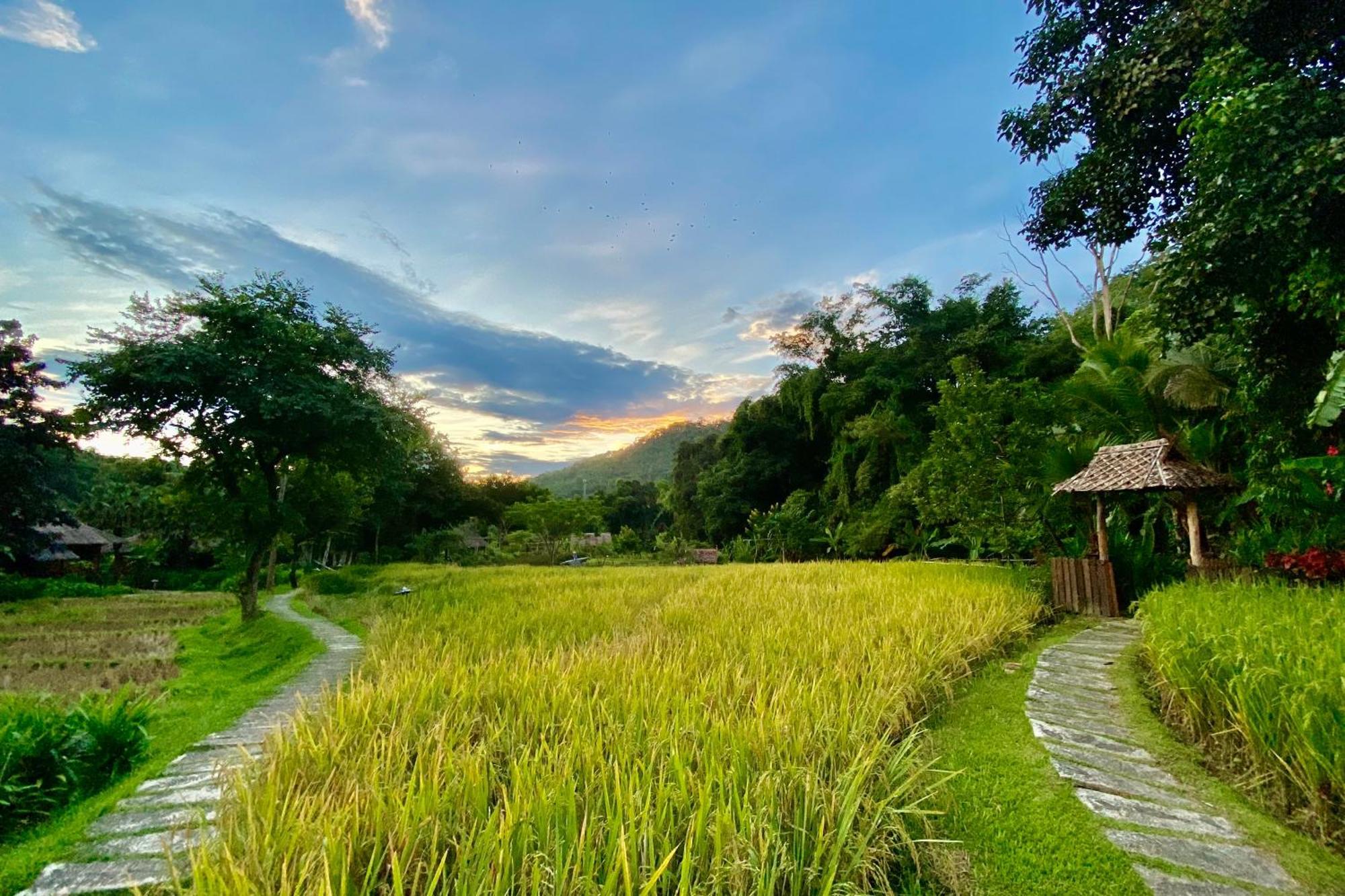 Fern 3* Mae Hong Son