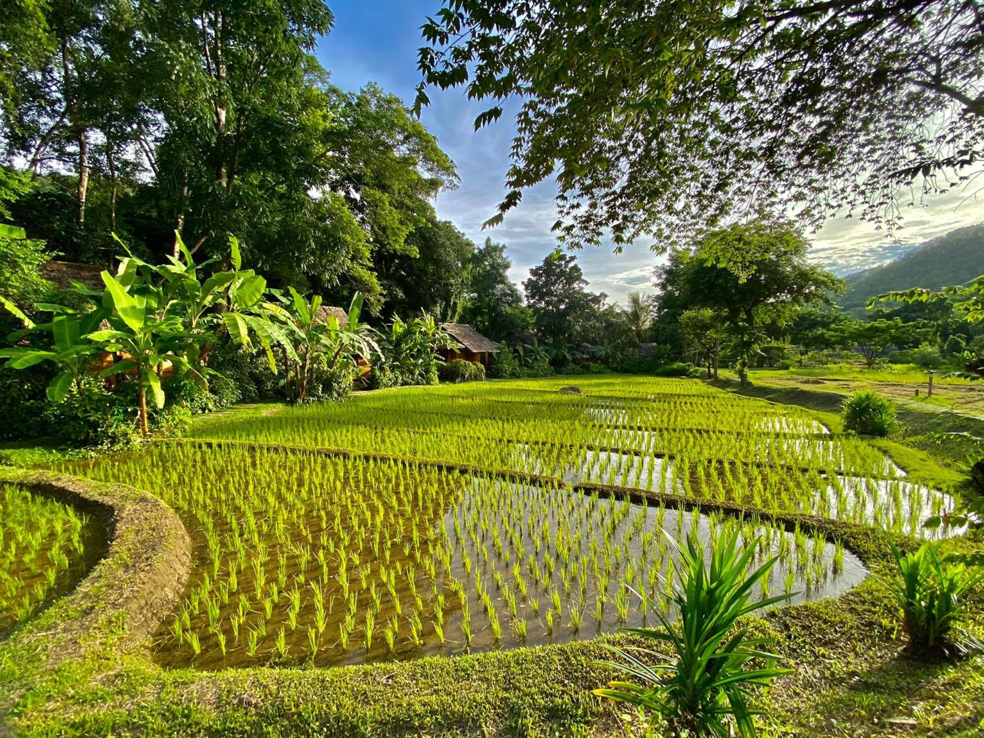 Resort Fern 3*