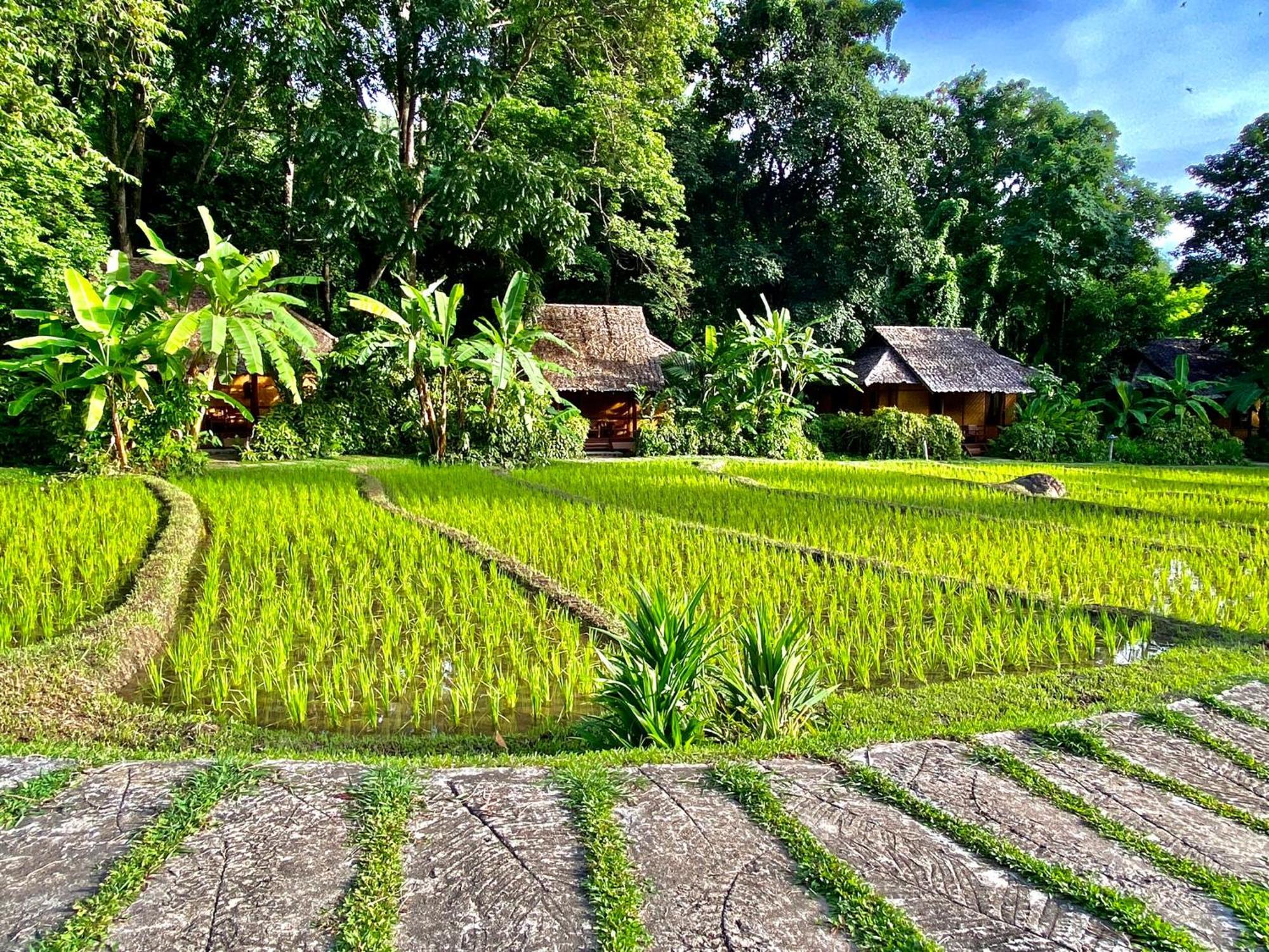 Resort Fern 3*