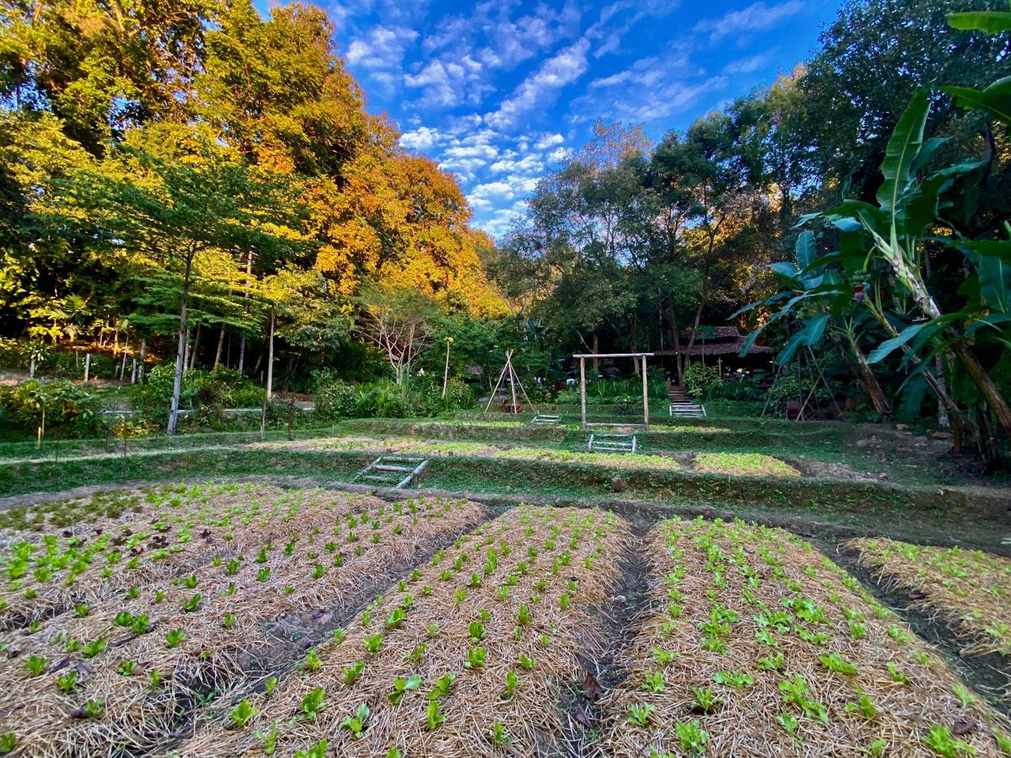 Resort Fern Mae Hong Son