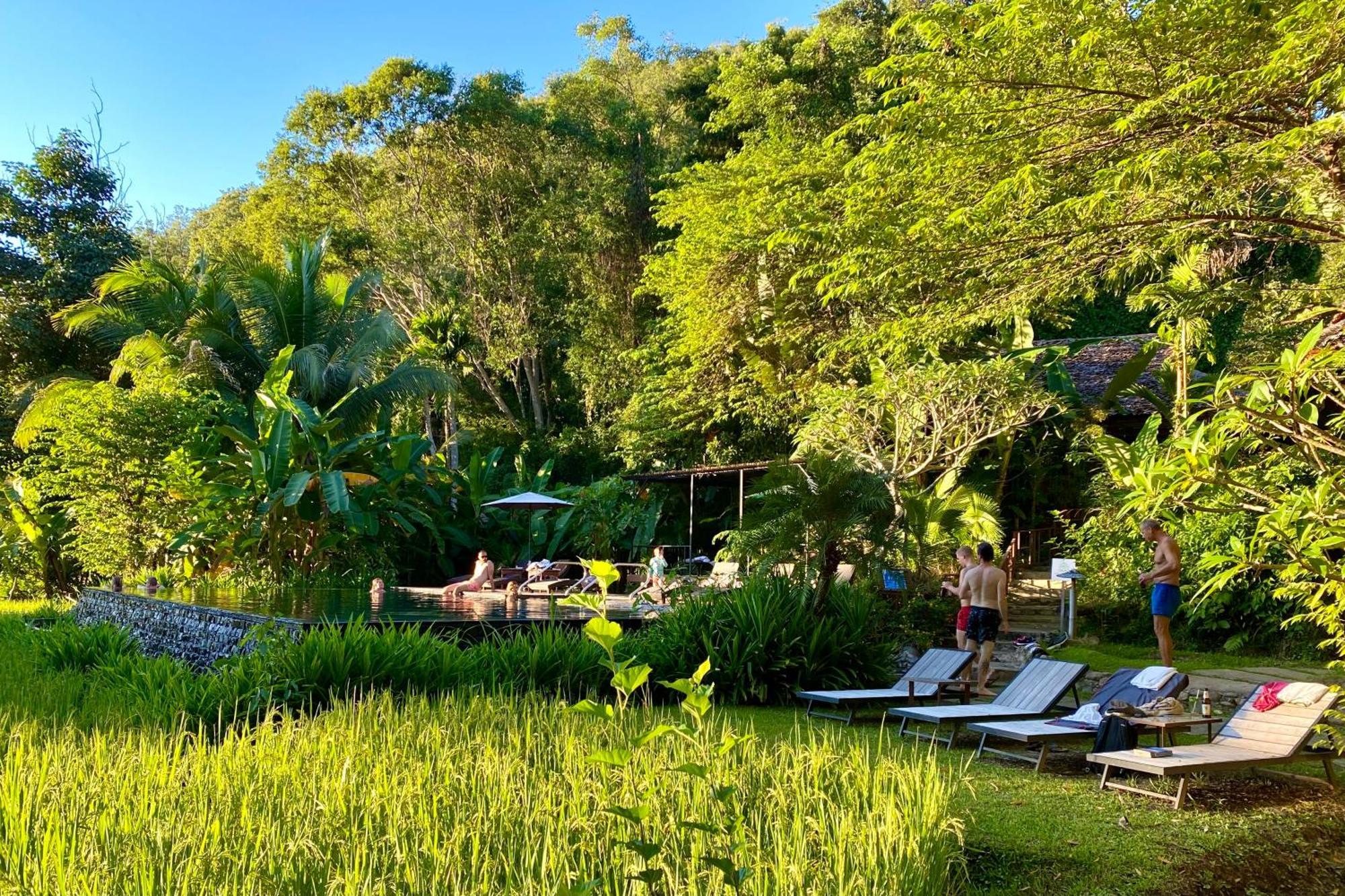 Fern Resort