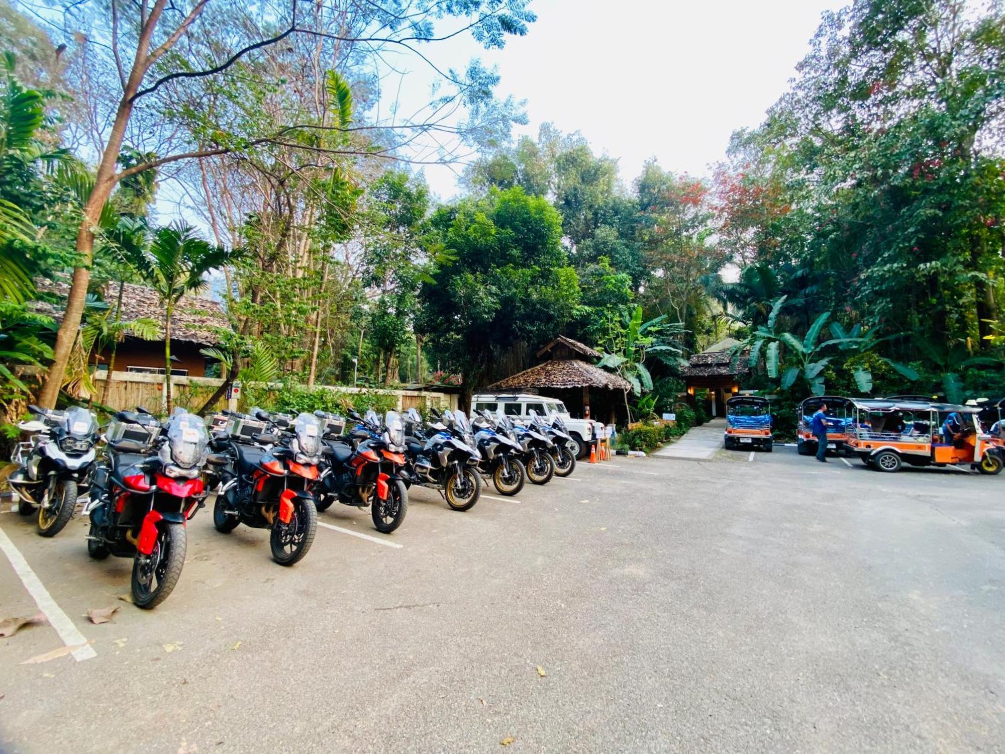 Fern Resort 3*