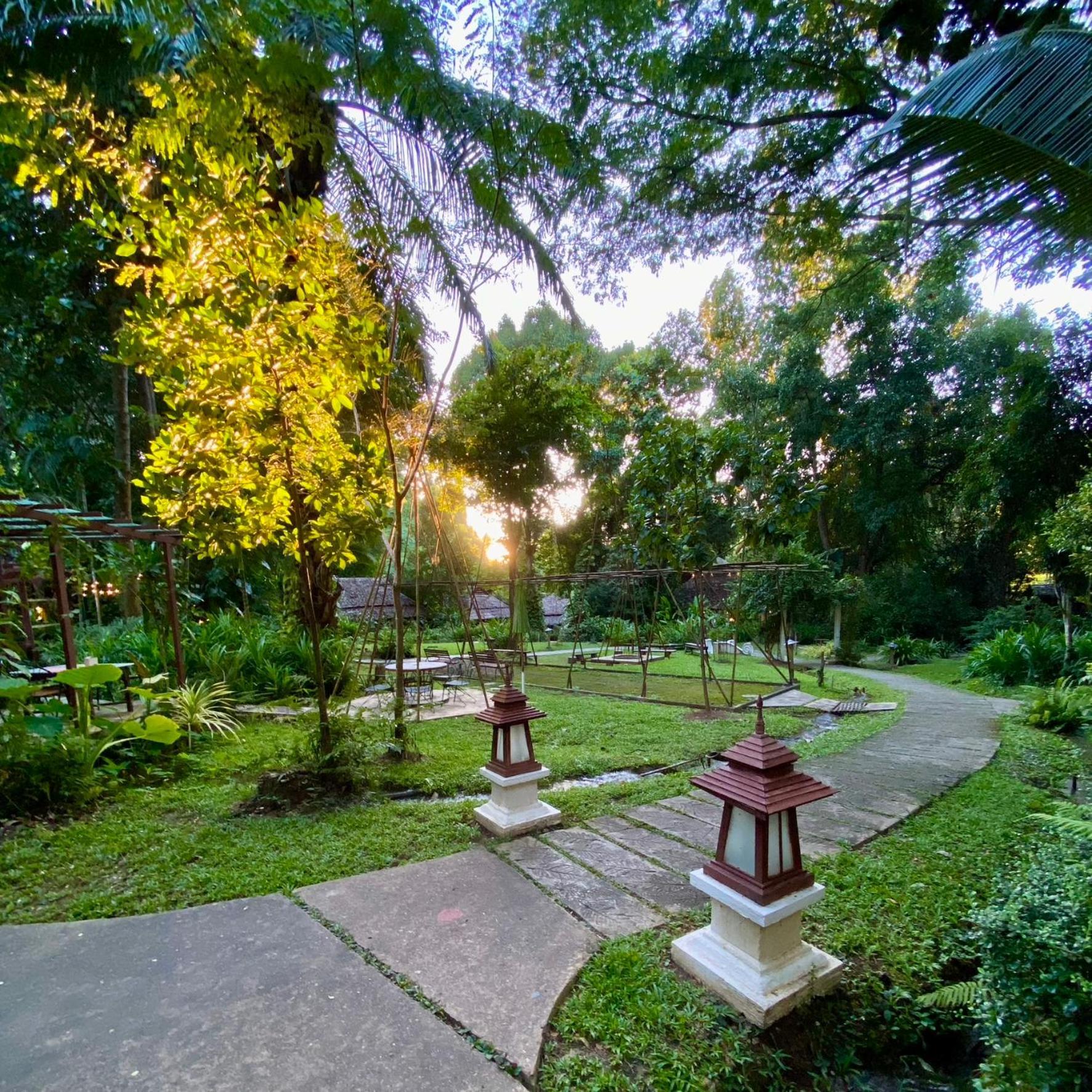 Fern Mae Hong Son