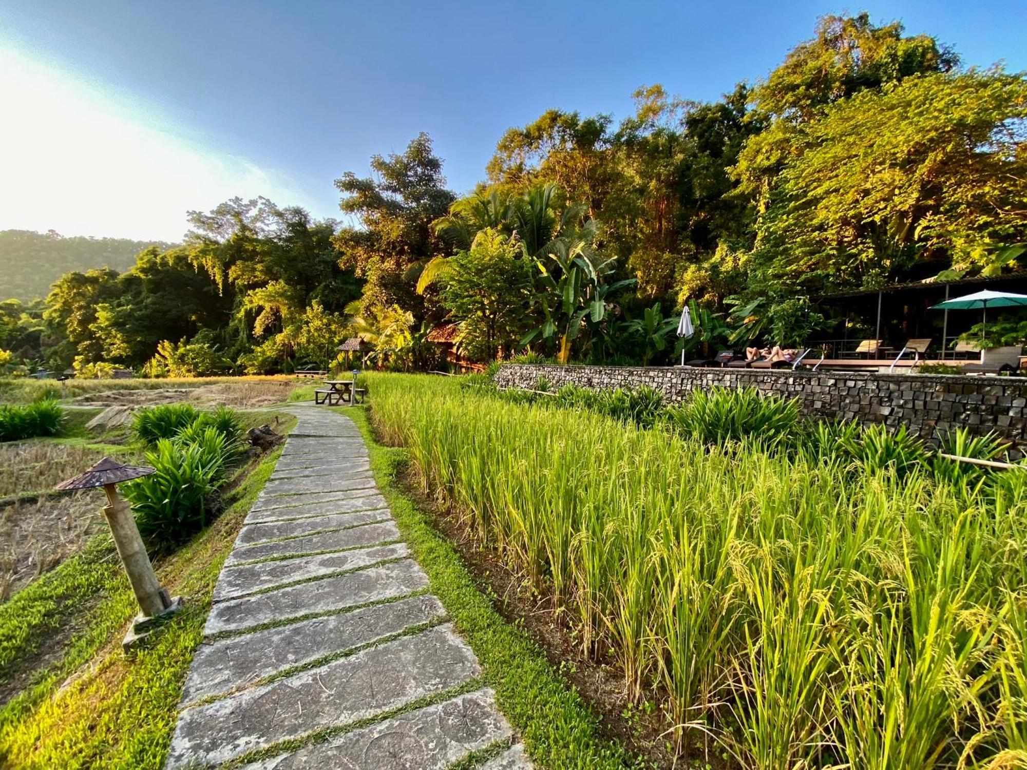 Fern Resort 3*