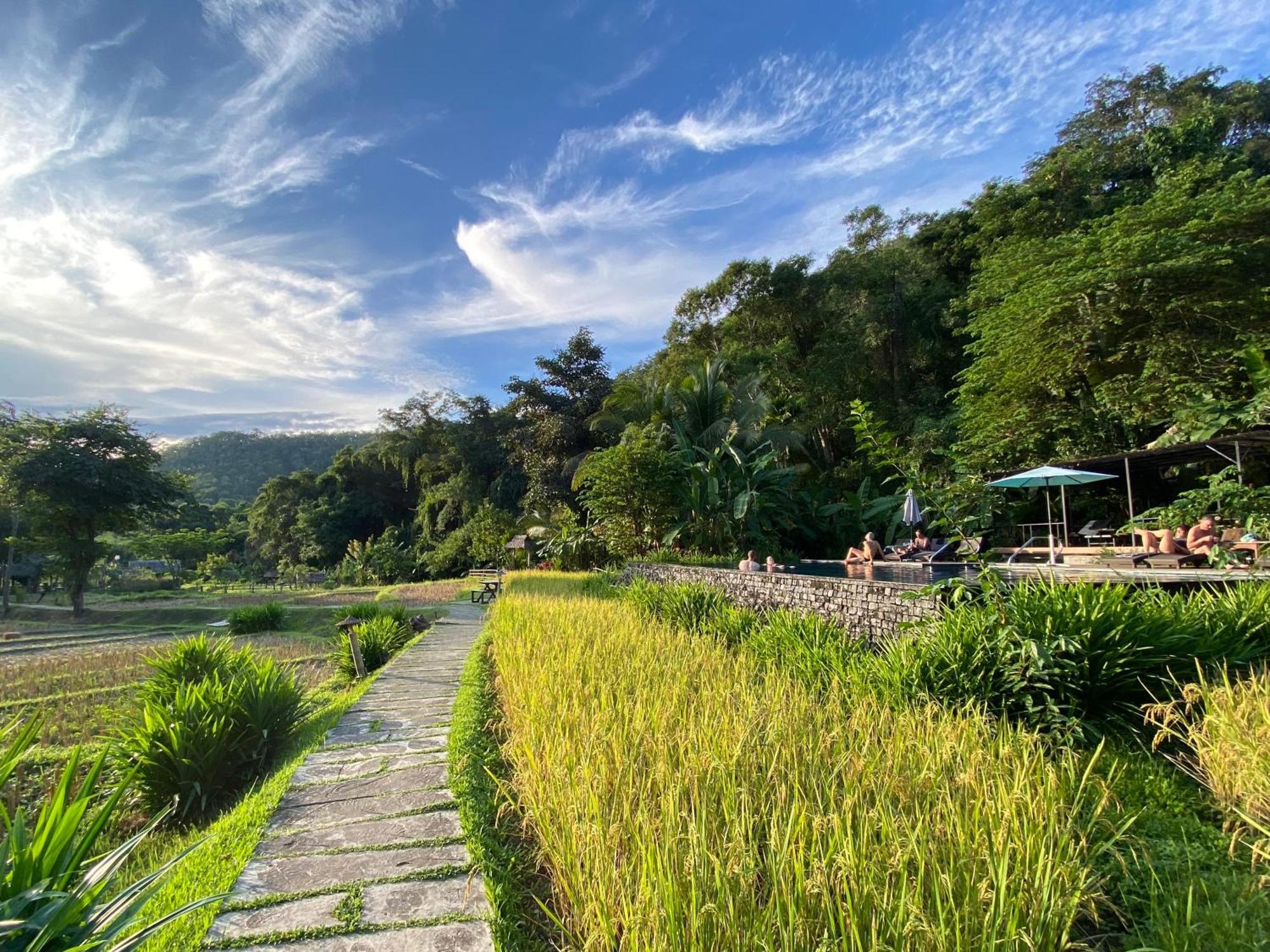 Fern Mae Hong Son