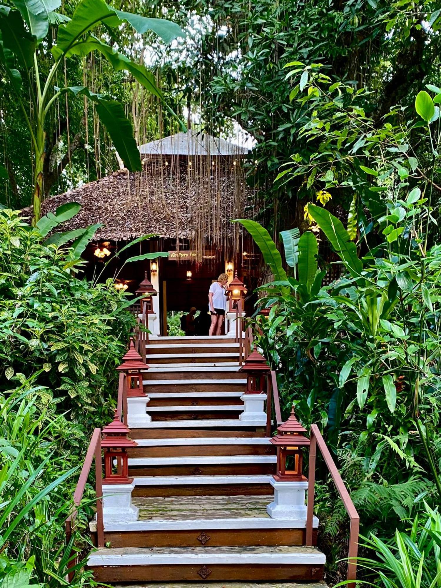 Fern Resort