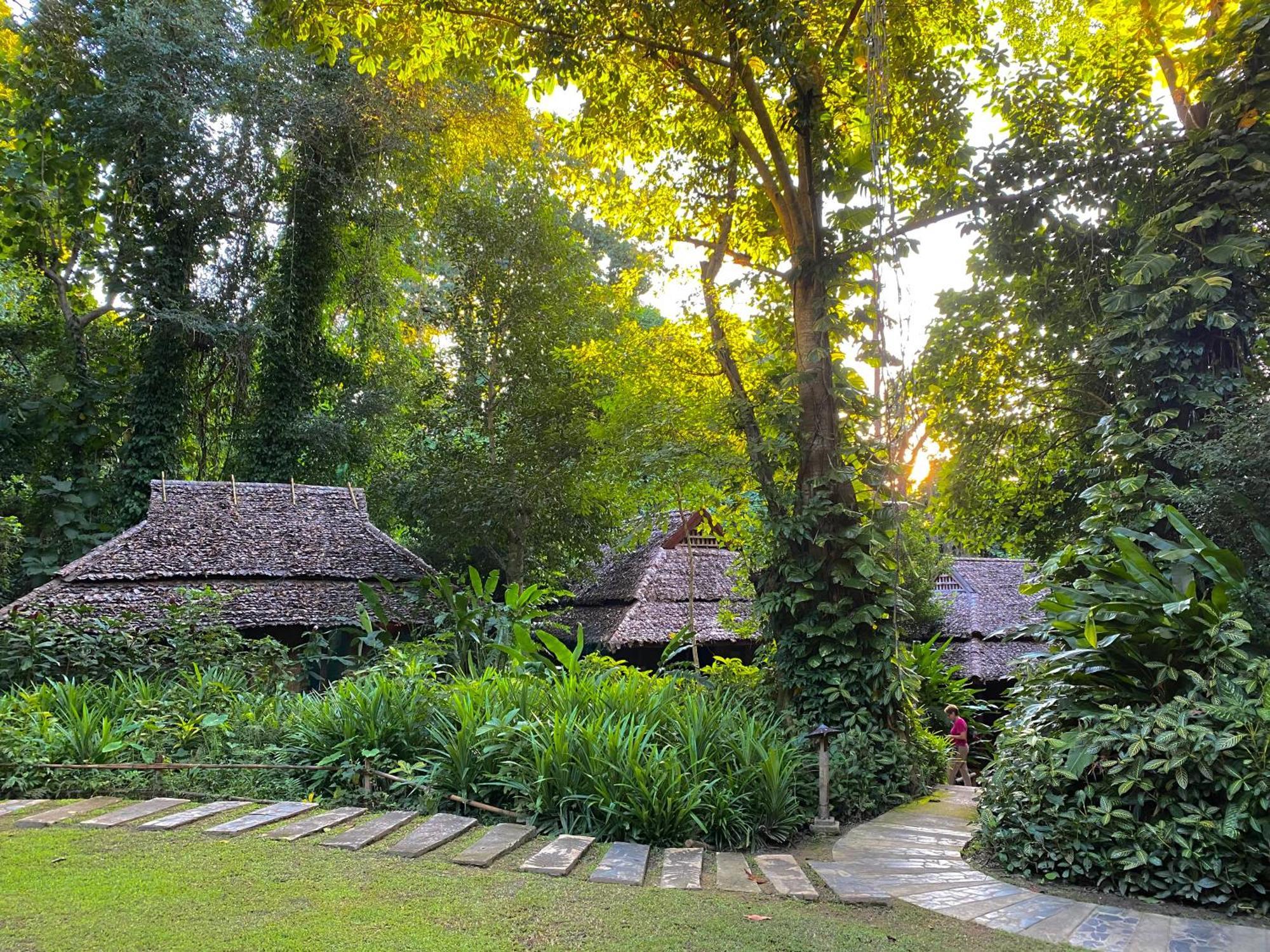 Fern Resort