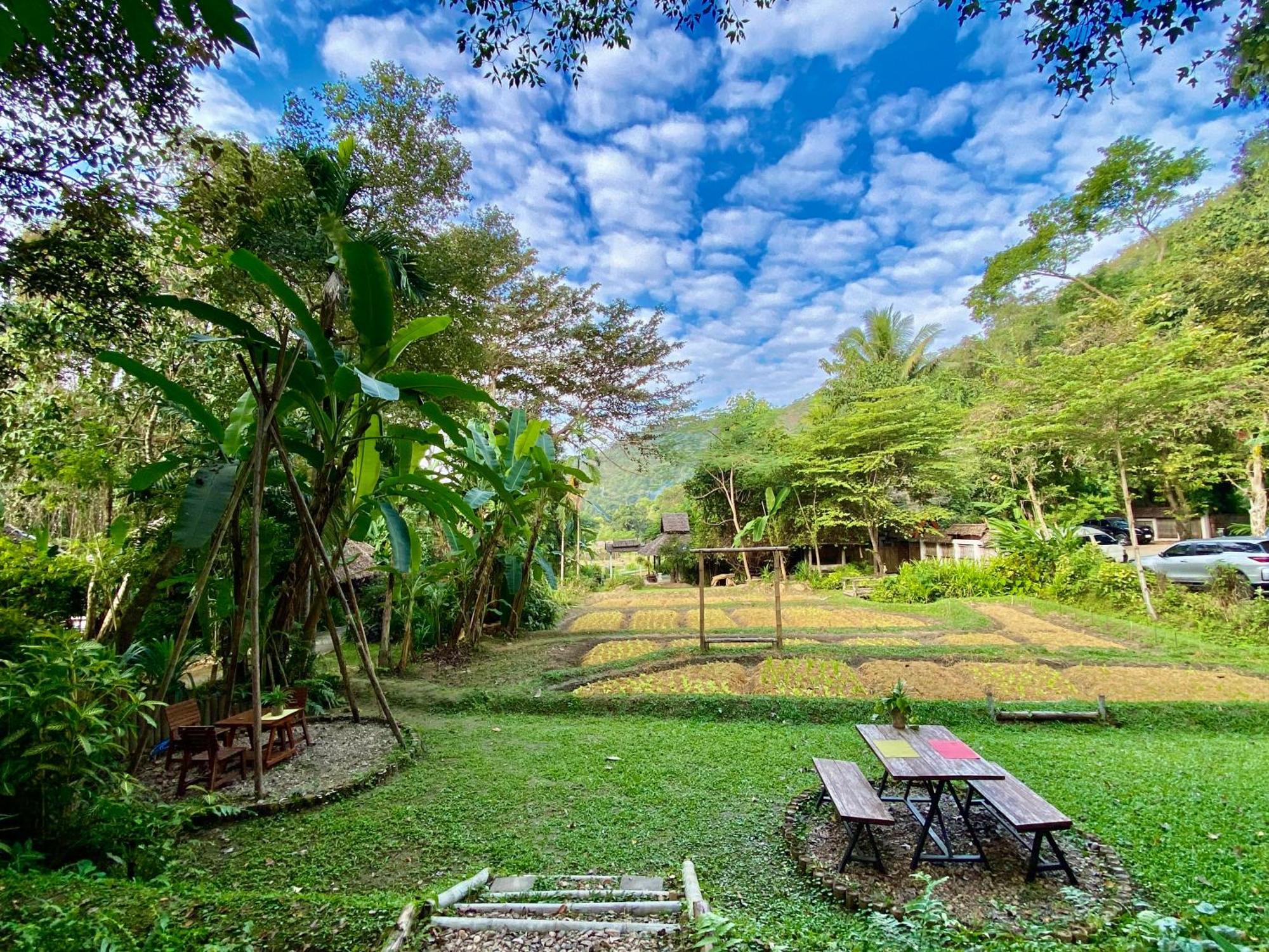 Fern Resort
