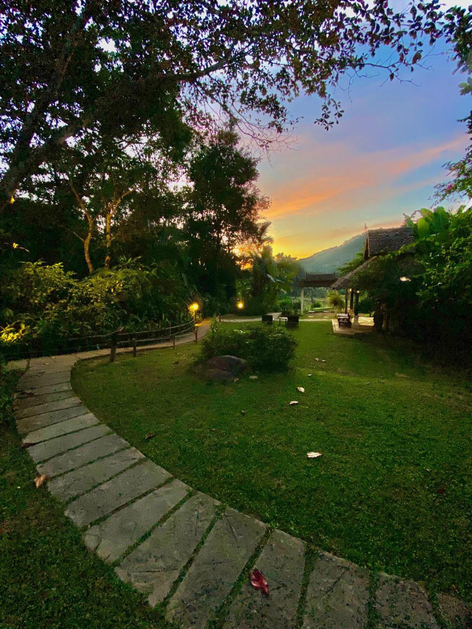 Fern Mae Hong Son