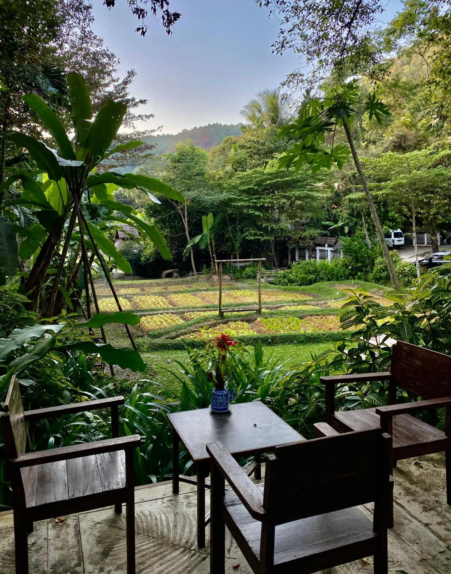 Resort Fern 3*