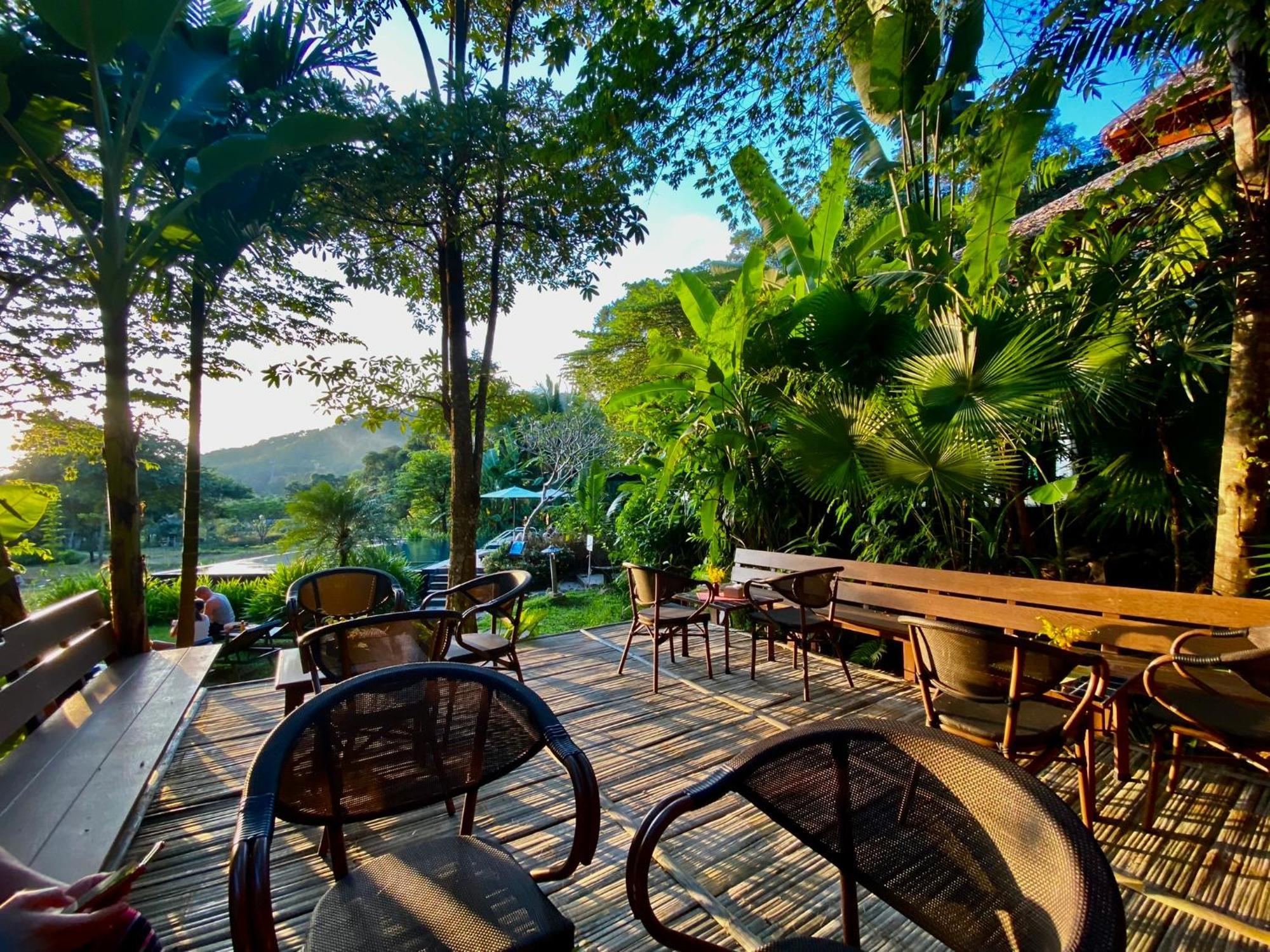 Resort Fern