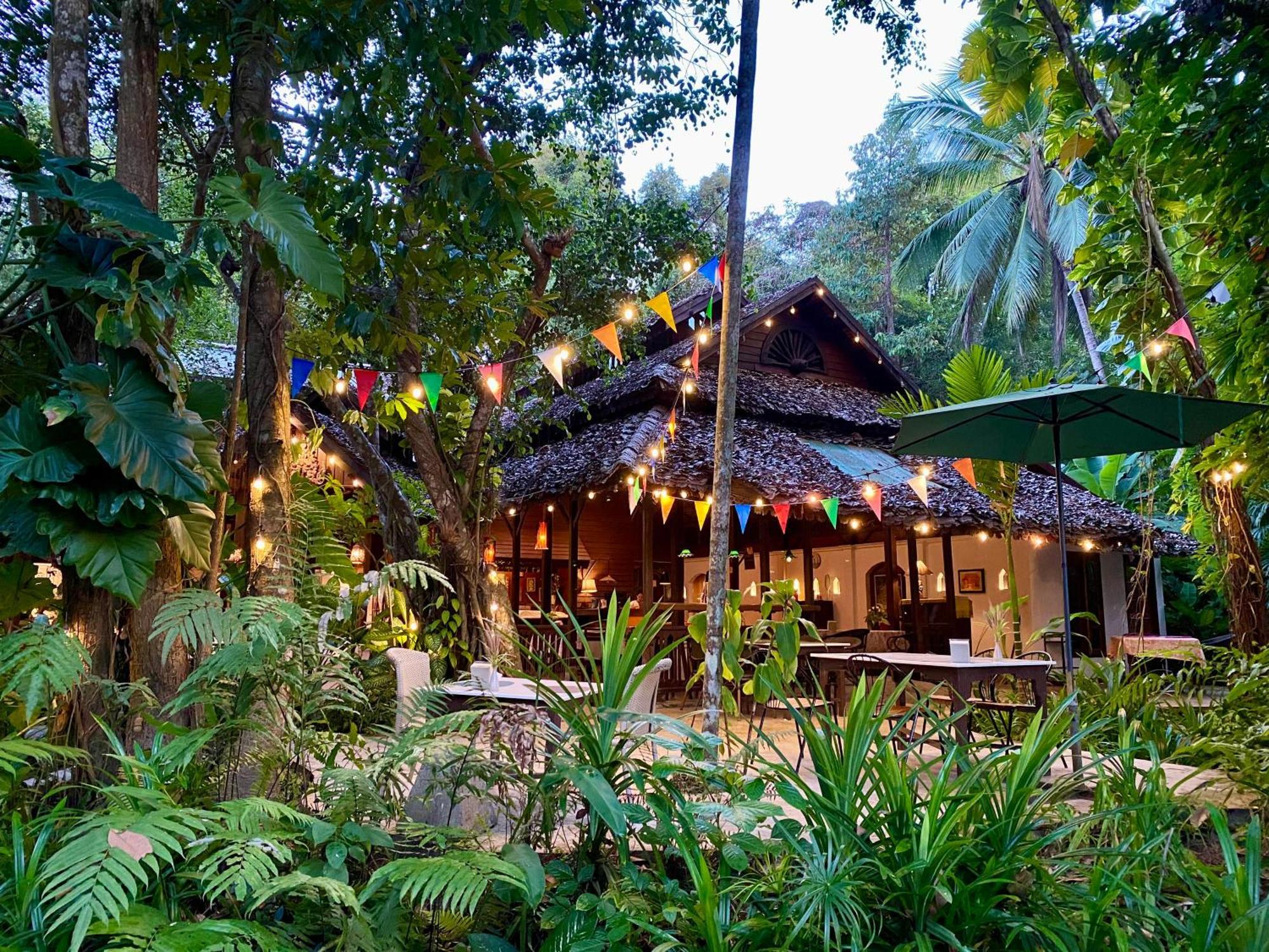 Fern Resort