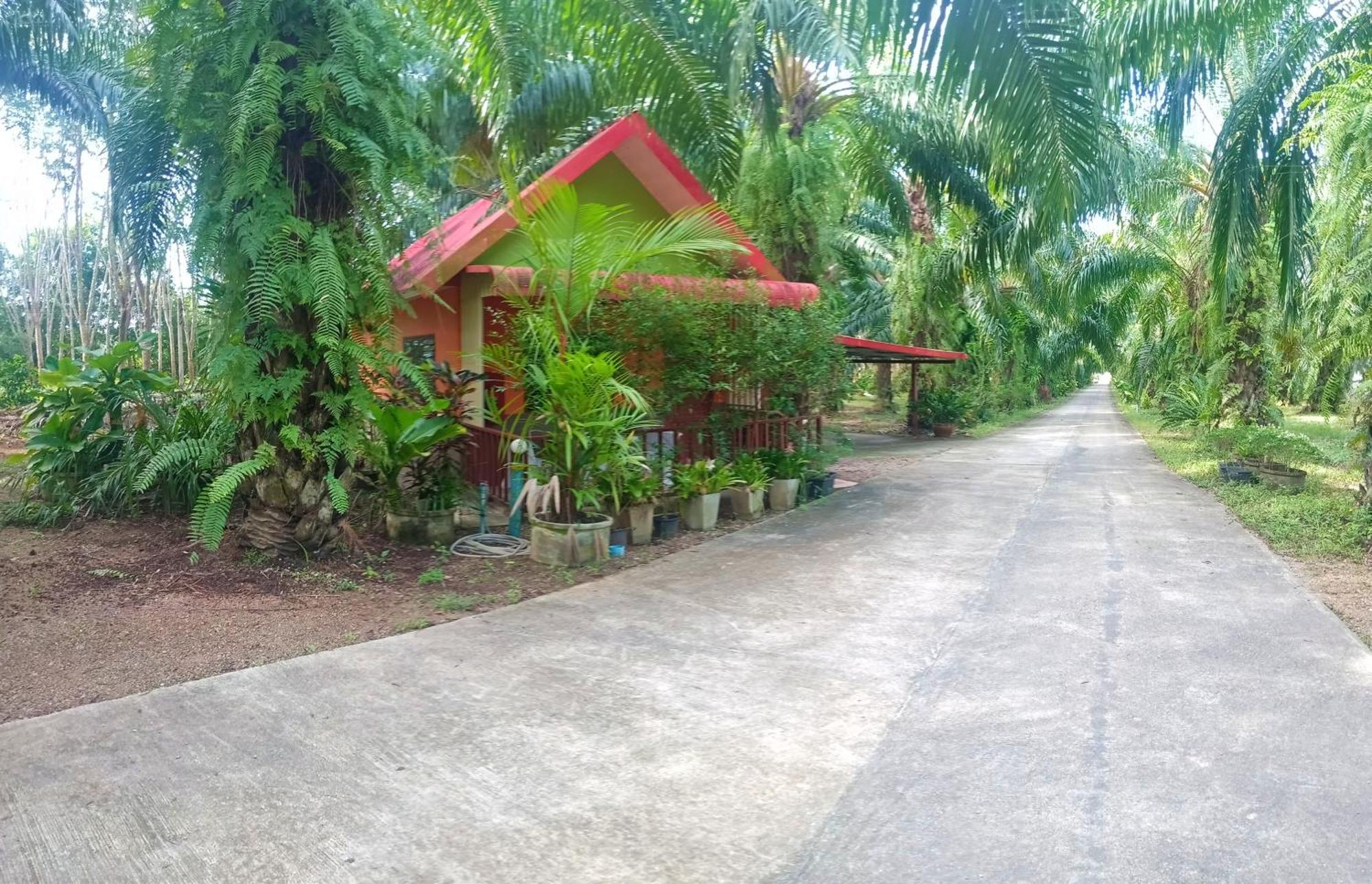 Resort Palm Kaew Krabi