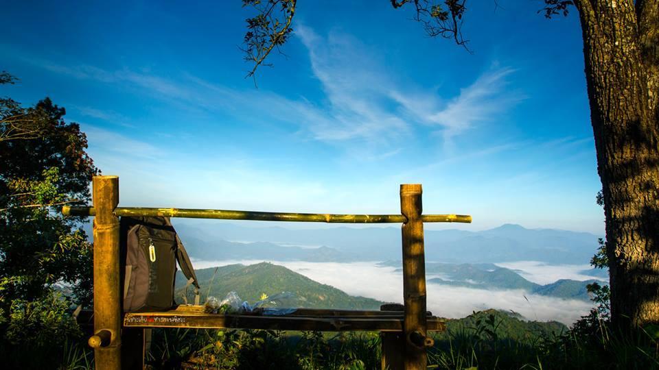 Phu Mork Dao Resort Resort Pong Yaeng