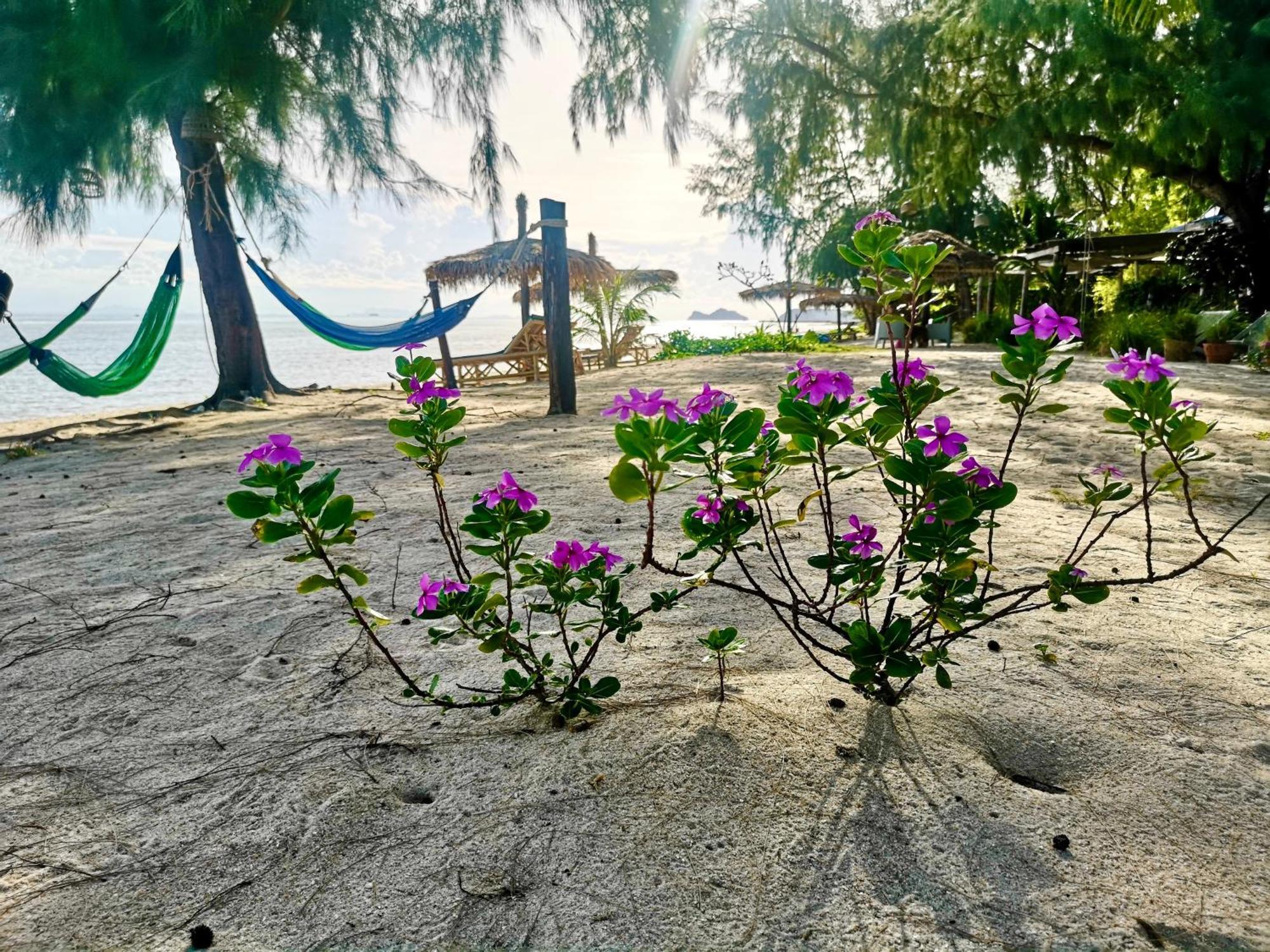 Seaesta 3* Baan Tai