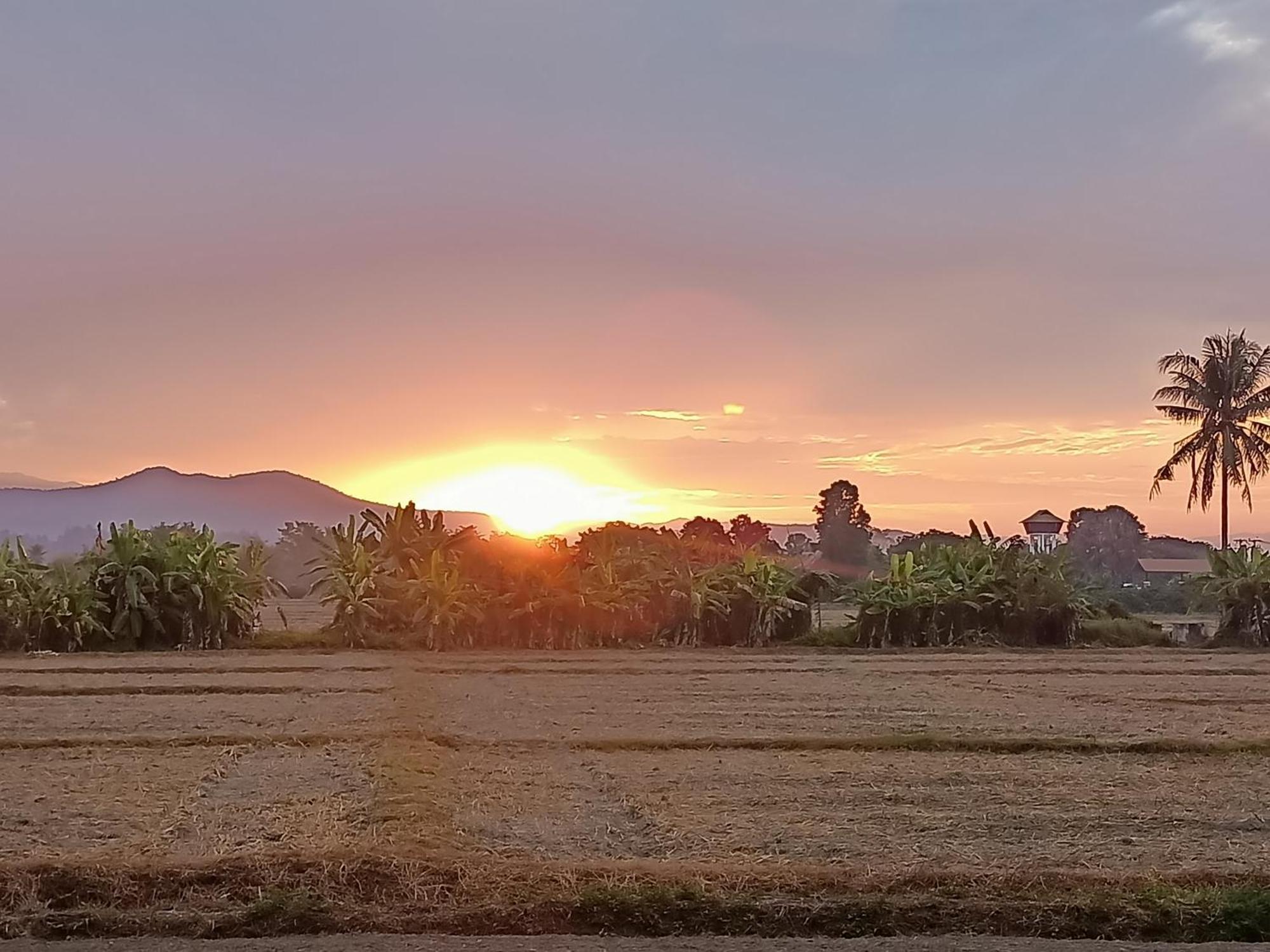 Albizia, Chiang Mai Bed & Breakfast *