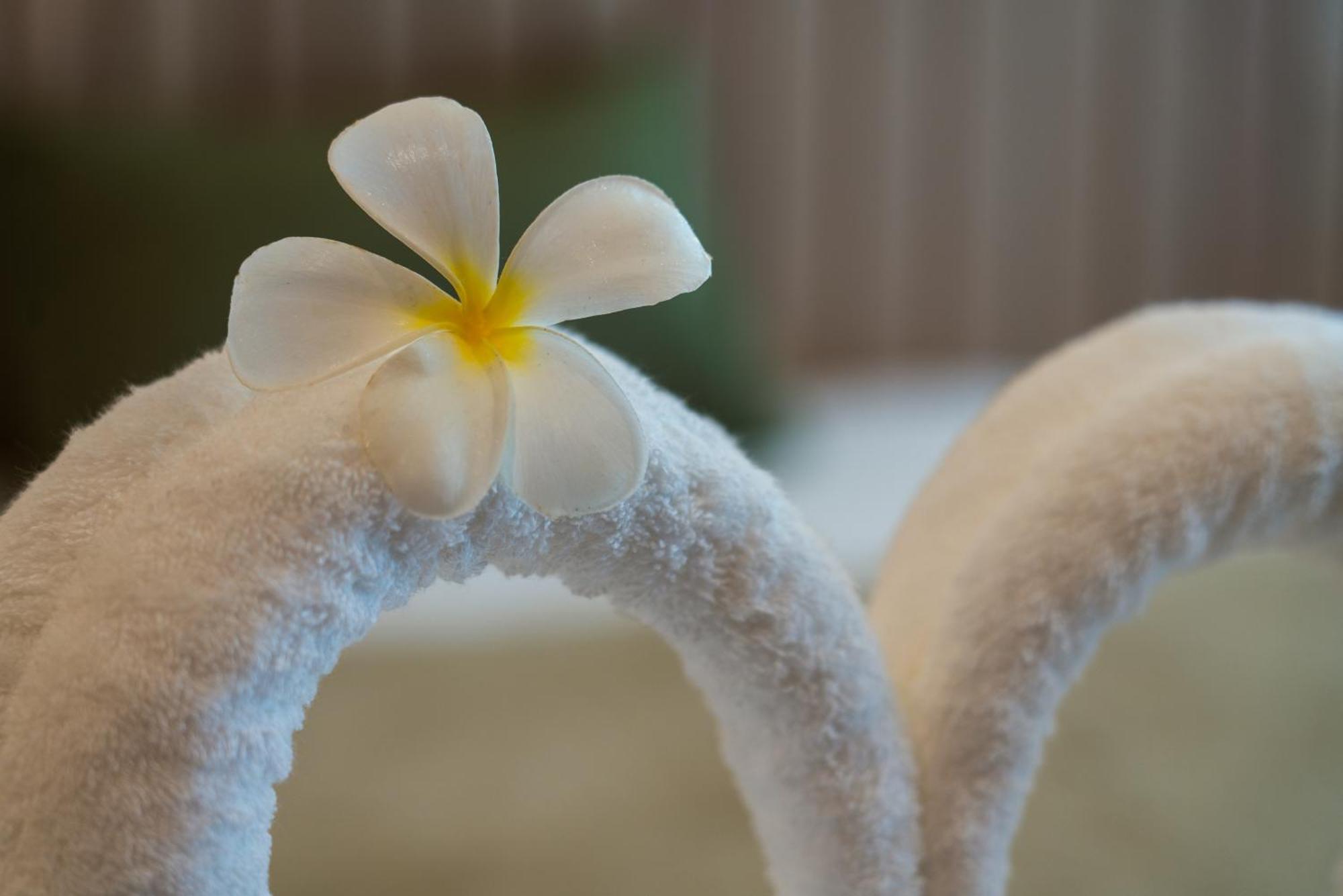 Resort Niranapa Boutique Praia de Kata