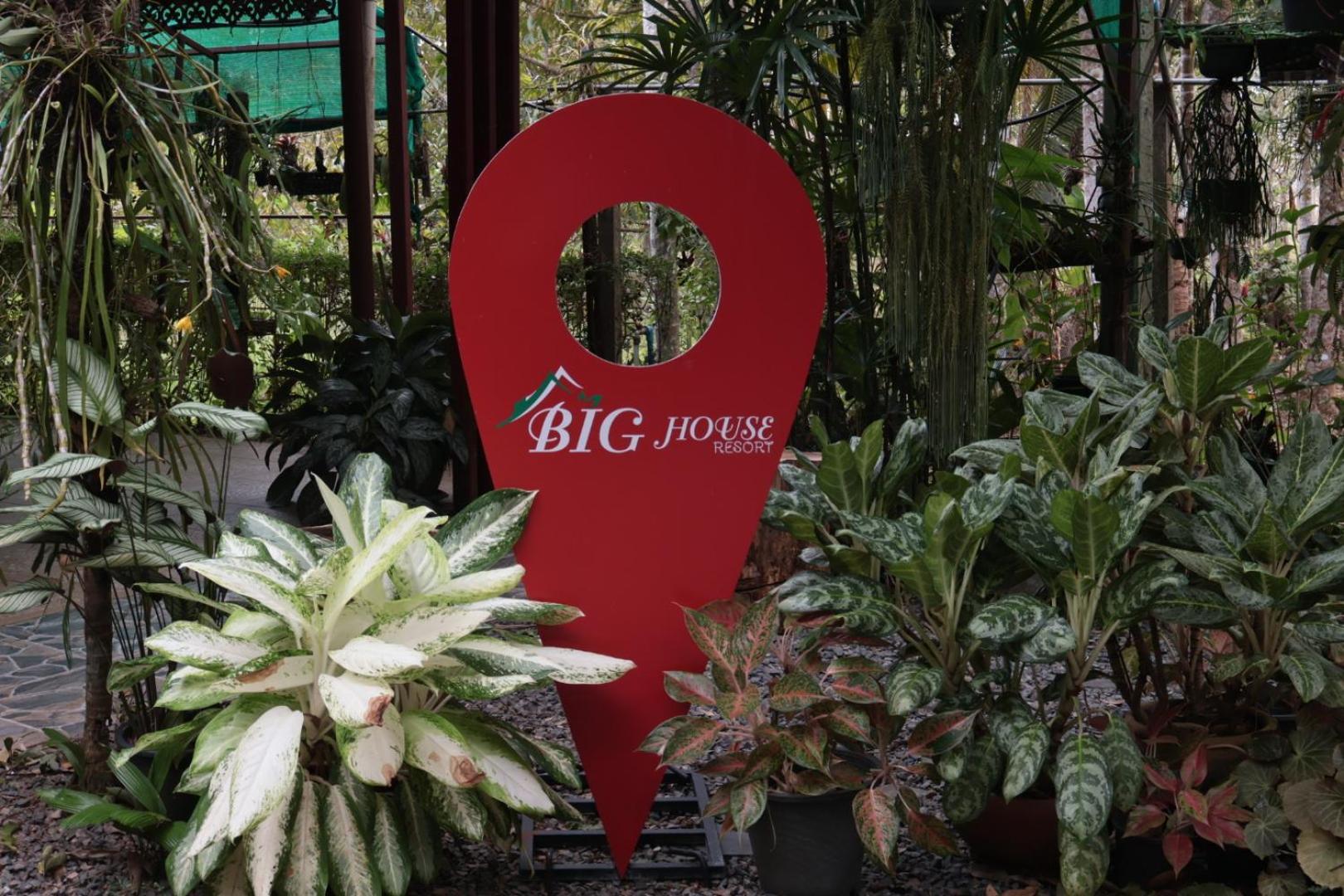 Big House 2*