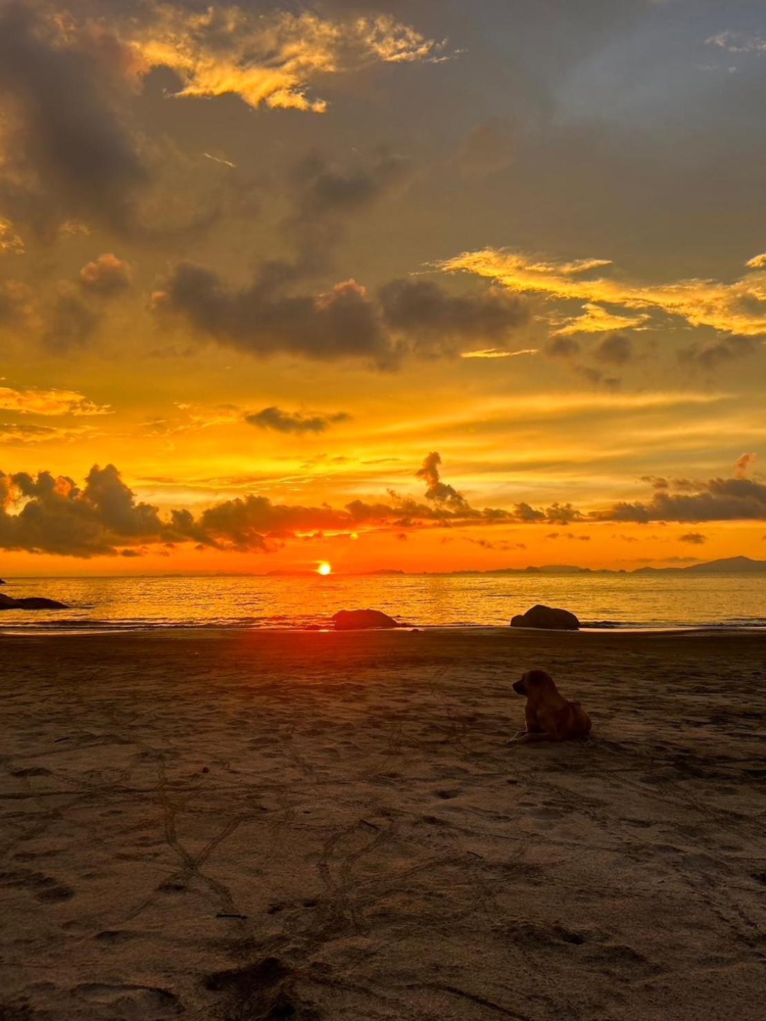 Guest house Lae Tawan Koh Chang Ranong