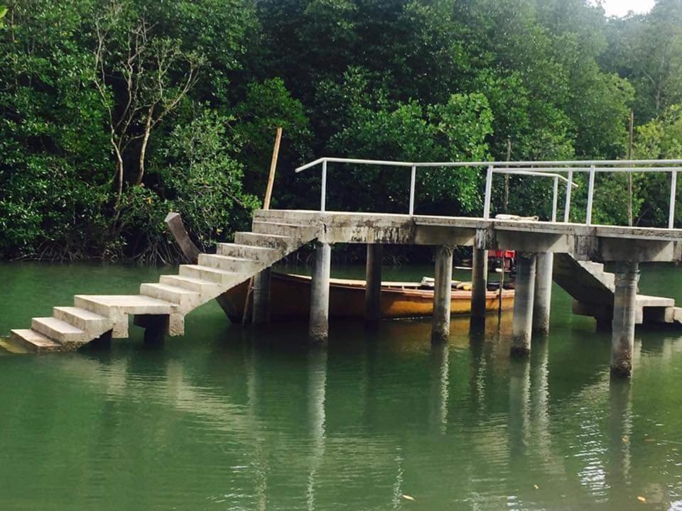 Homestay บ้านปู