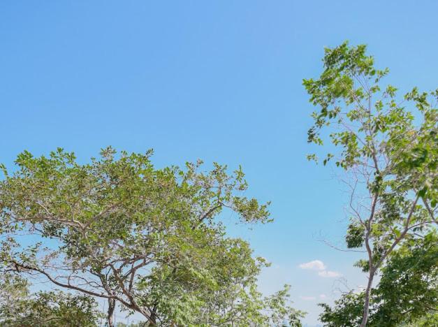 Villa Phuzita Kohlarn-ภูศิตา Ko Lan