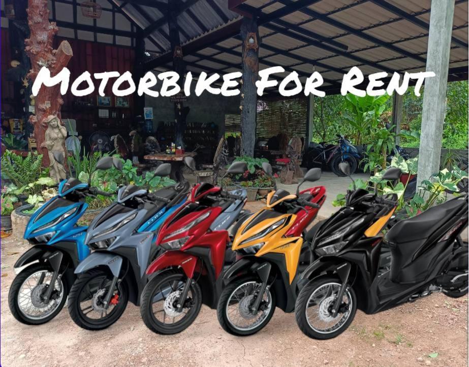 Friendly * Koh Jum