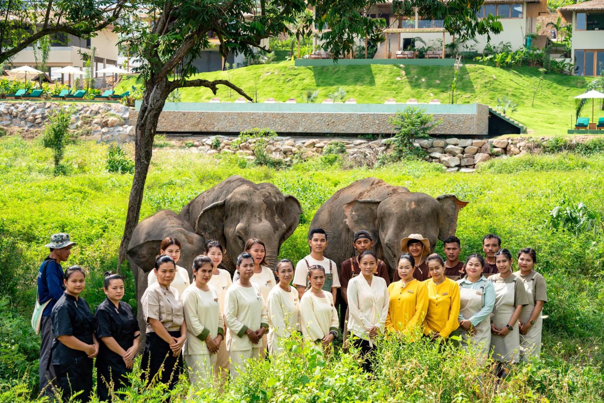 Hotel Wild Elephant Sanctuary Amphoe Koksamui
