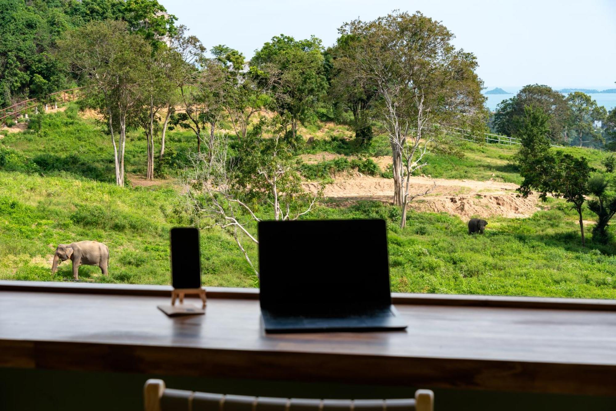 Wild Elephant Sanctuary Hotel
