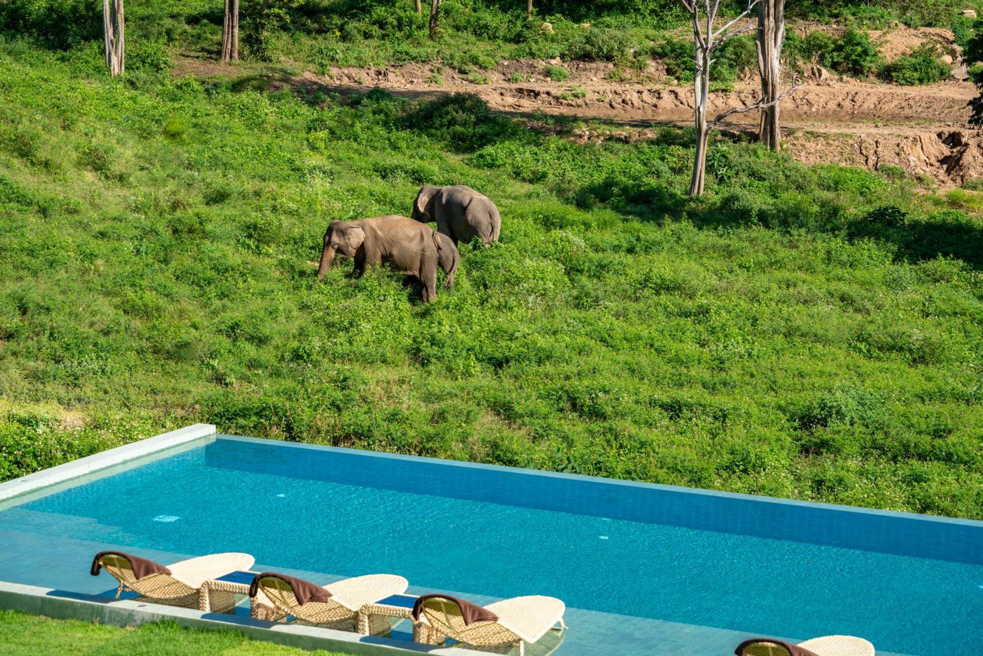 Hotel Wild Elephant Sanctuary Amphoe Koksamui