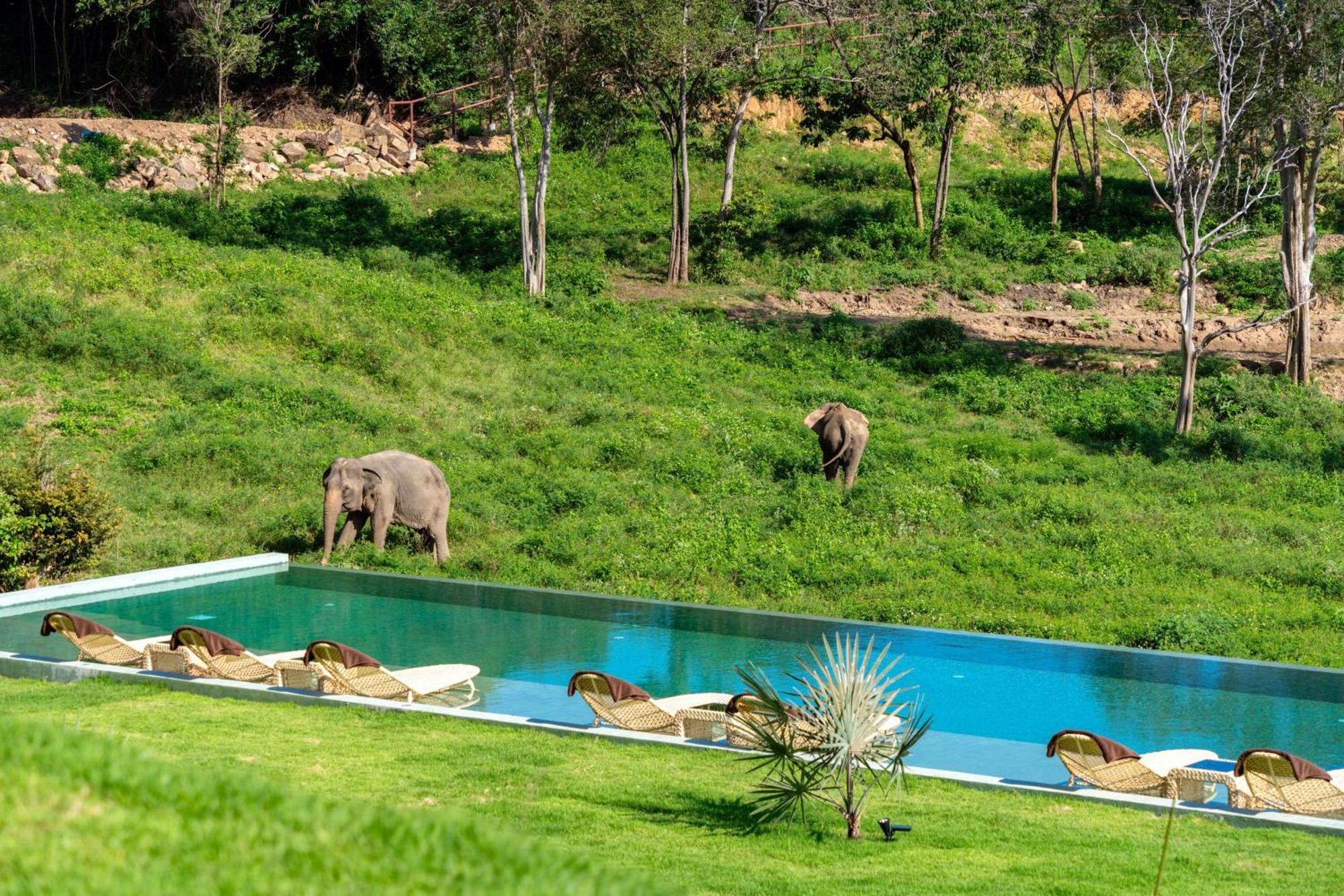 Wild Elephant Sanctuary Hotel Amphoe Koksamui