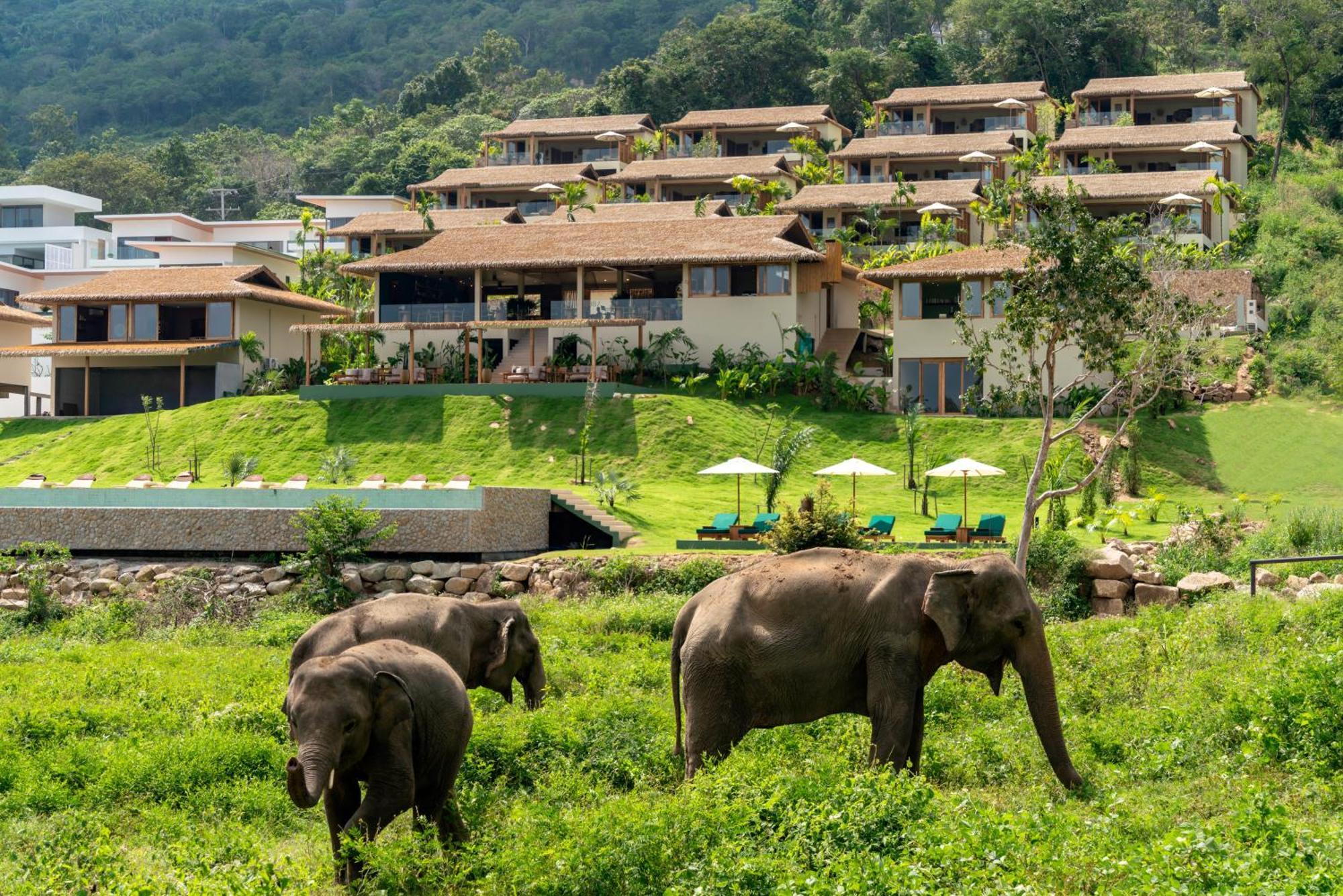 Hotel Wild Elephant Sanctuary 5*