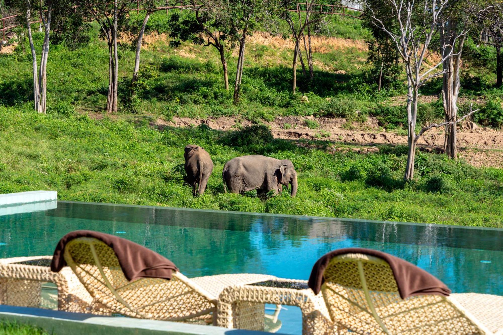 Hotel Wild Elephant Sanctuary 5*