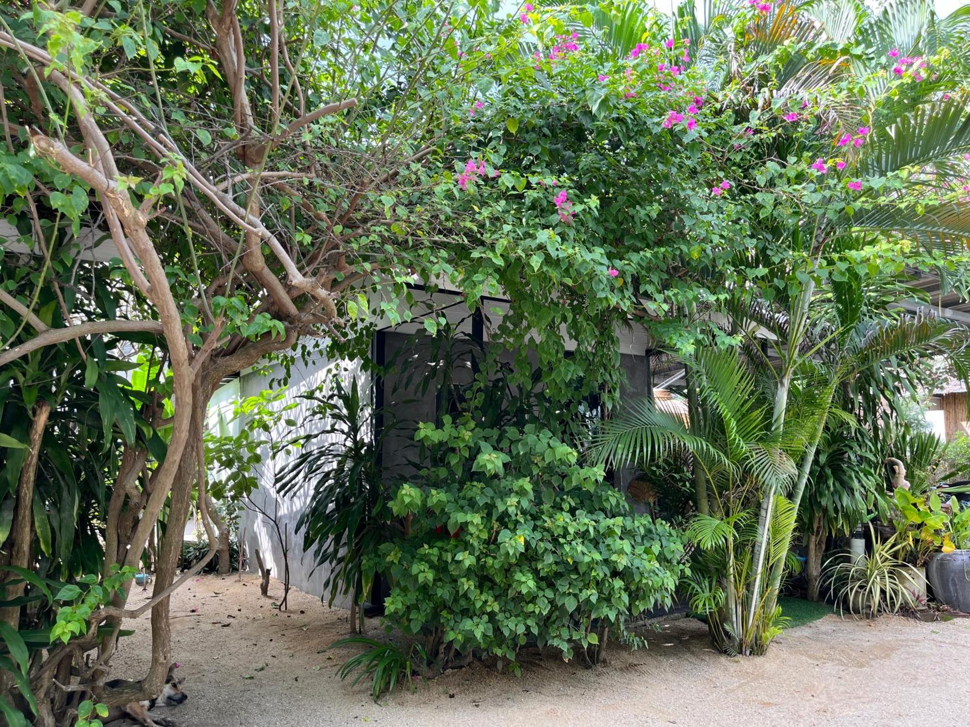 Namthip Homebeach Lodge Baan Tai
