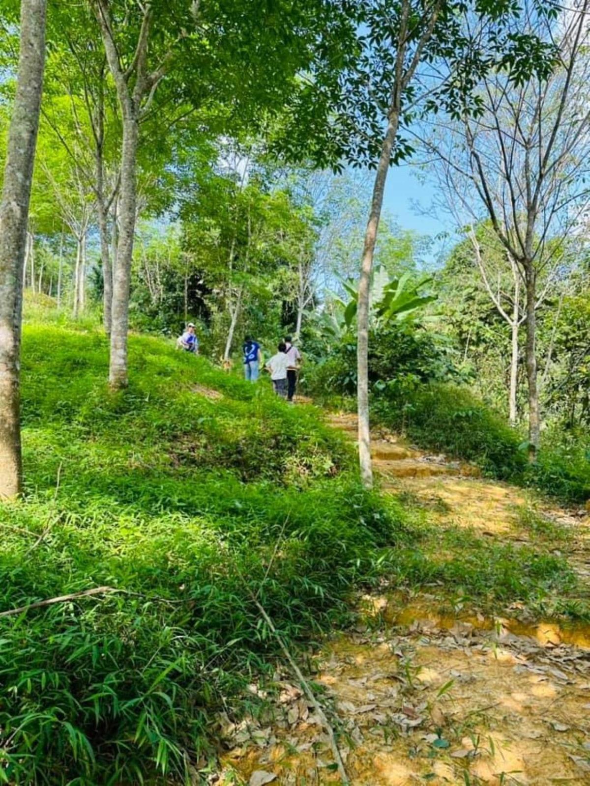 Makorn Nonkleng Koh Samui