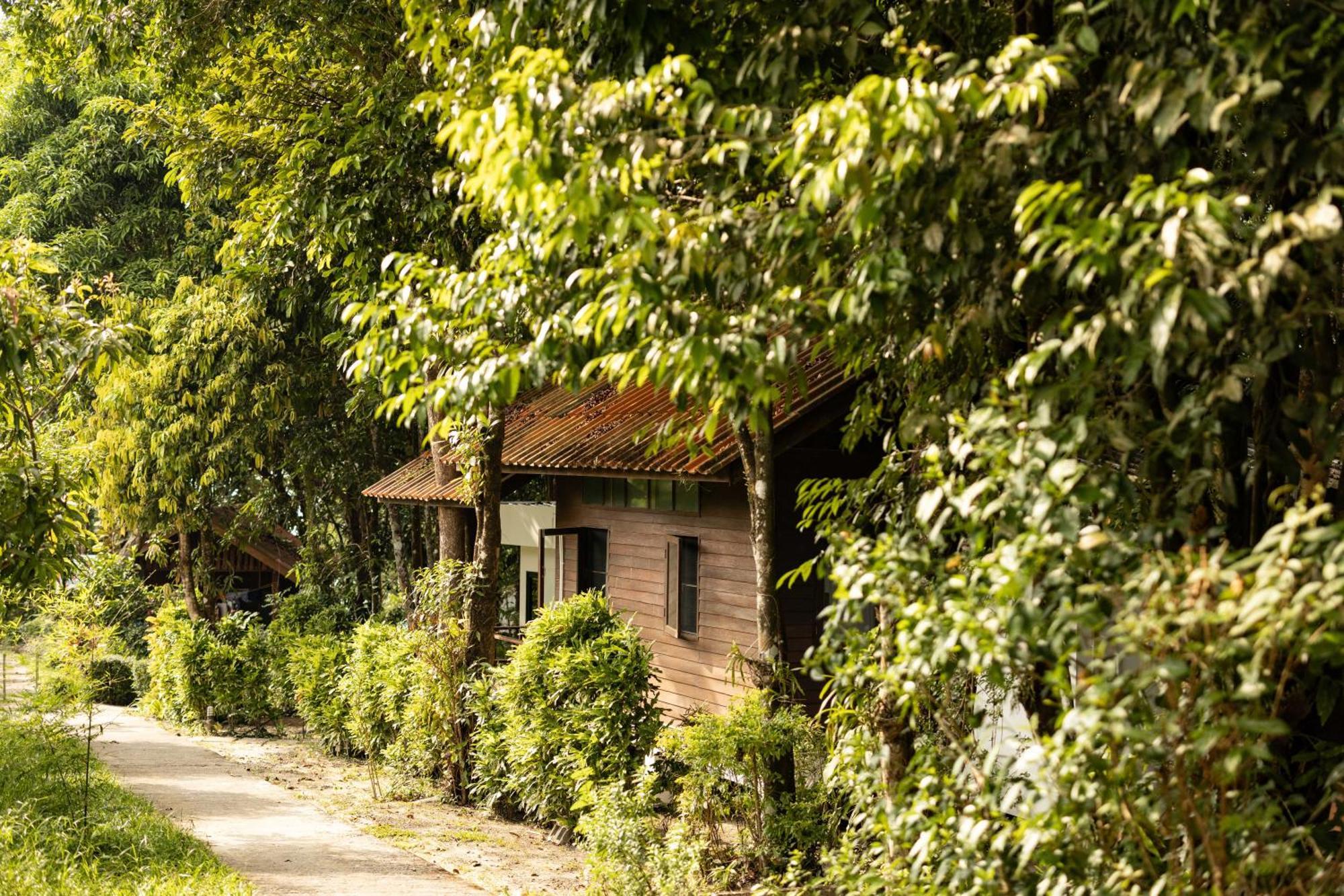 Barefoot Project Formerly Baan Klong Kleng Guest house Koh Phayam