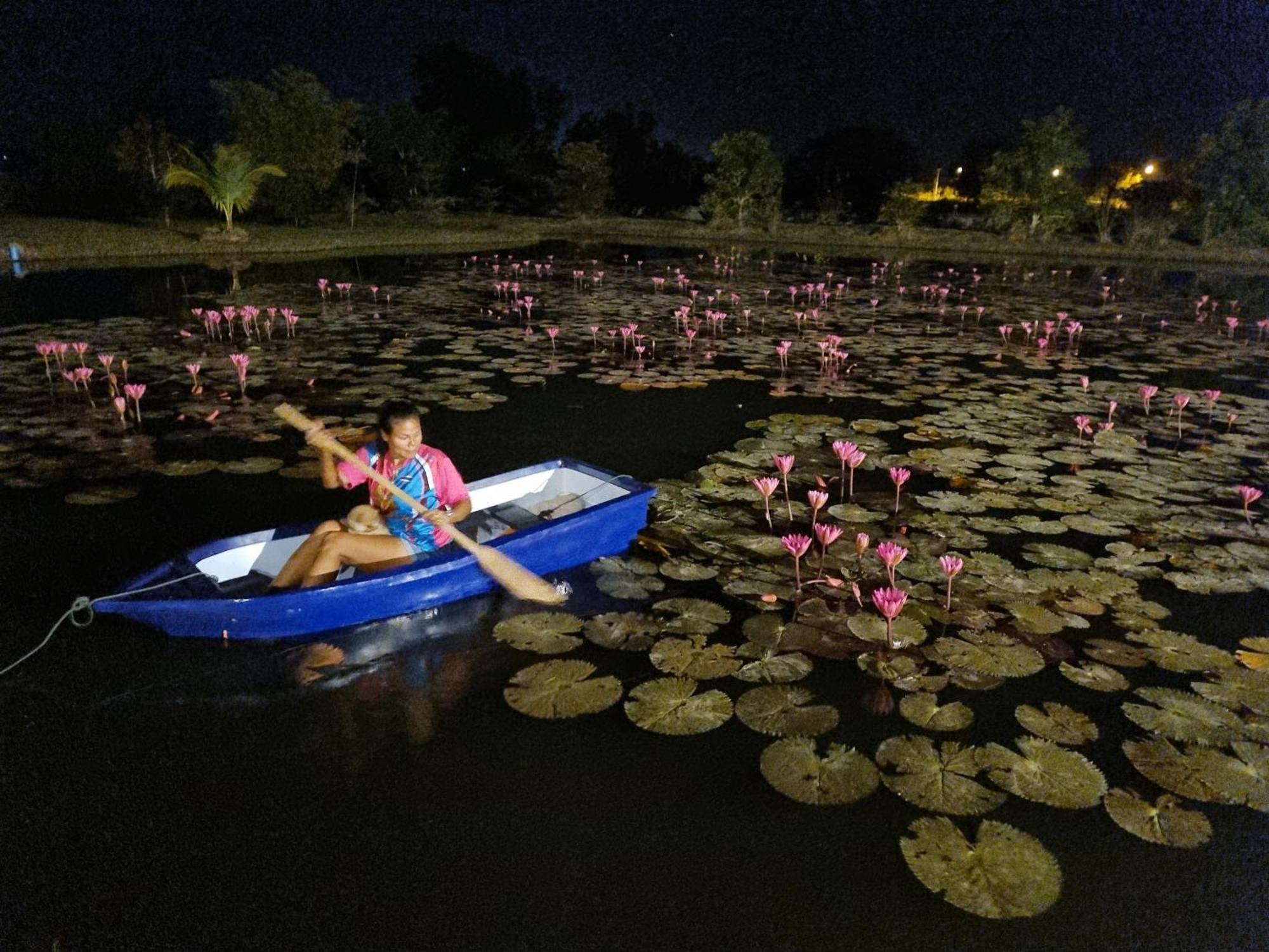 Bua Daeng Resort Kumphawapi