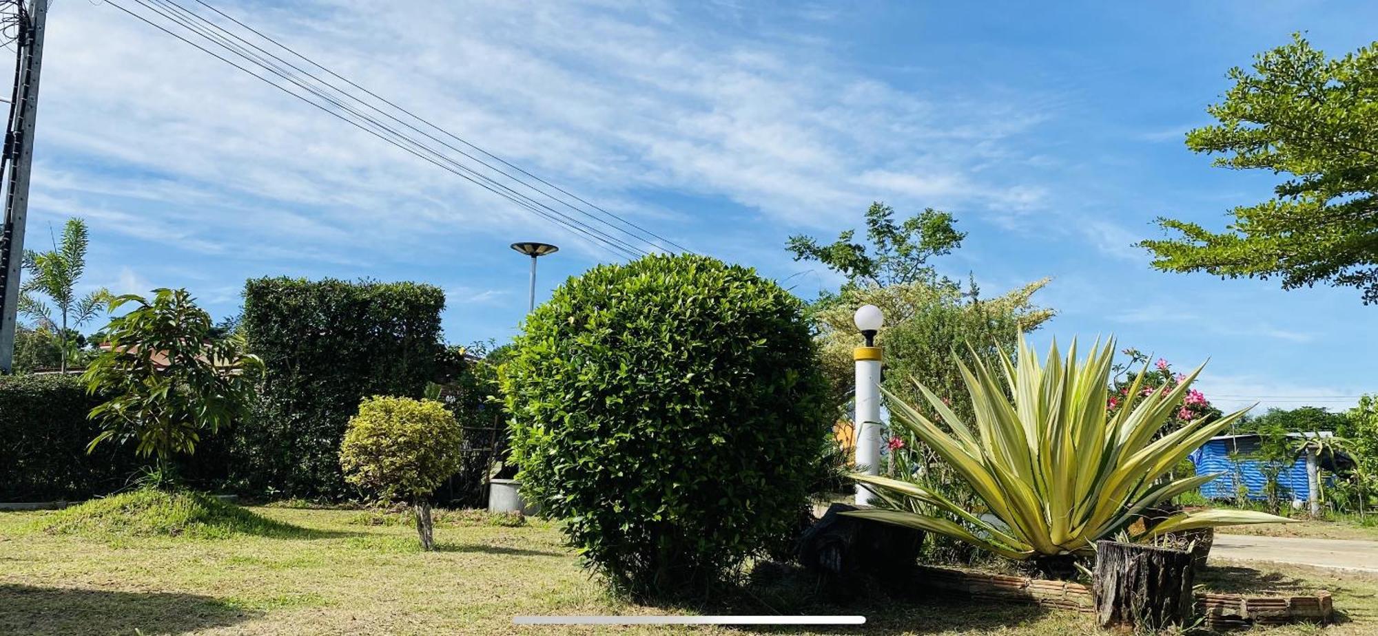 Panutsaya