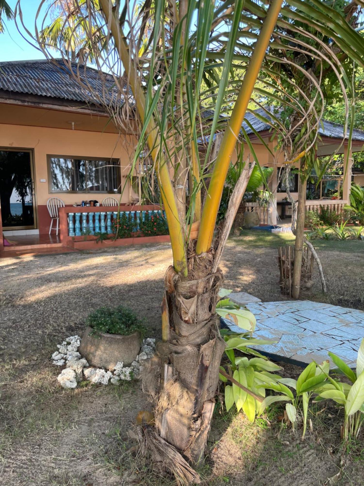 Baanyaiguesthouse * Koh Mak