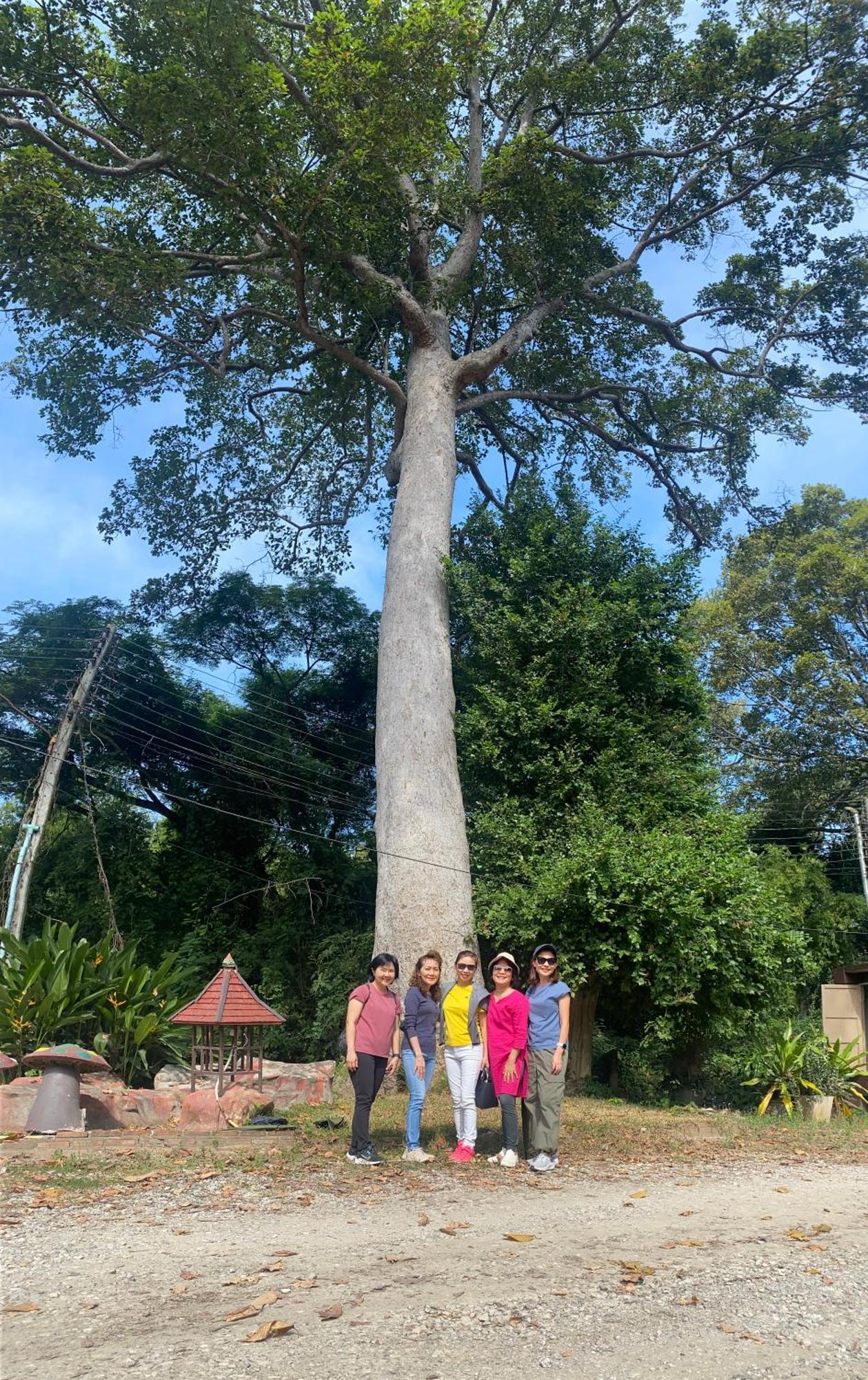 Resort Payamai Ban Nong Nam Khan